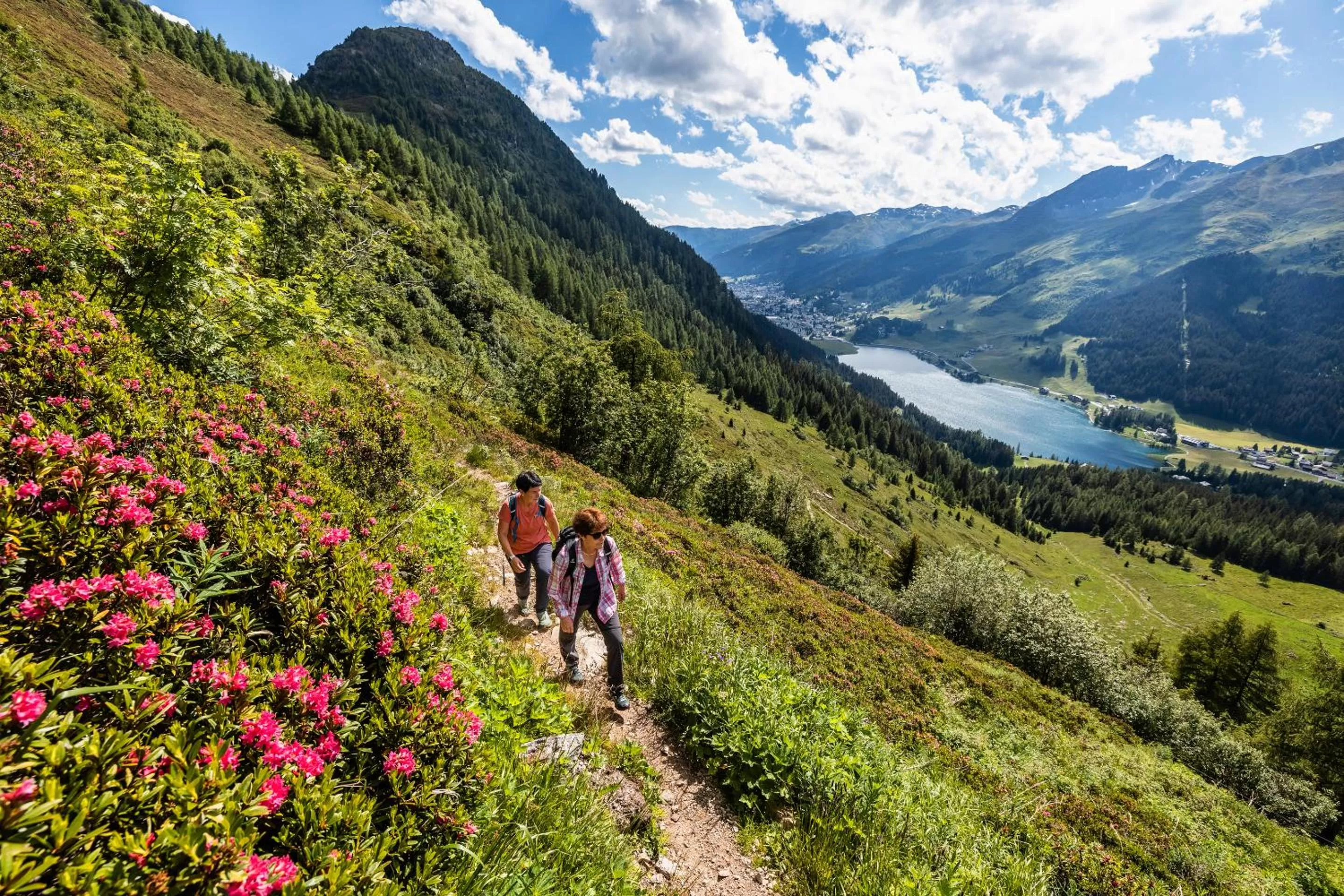 Activities in Steigenberger Icon Grandhotel Belvédère