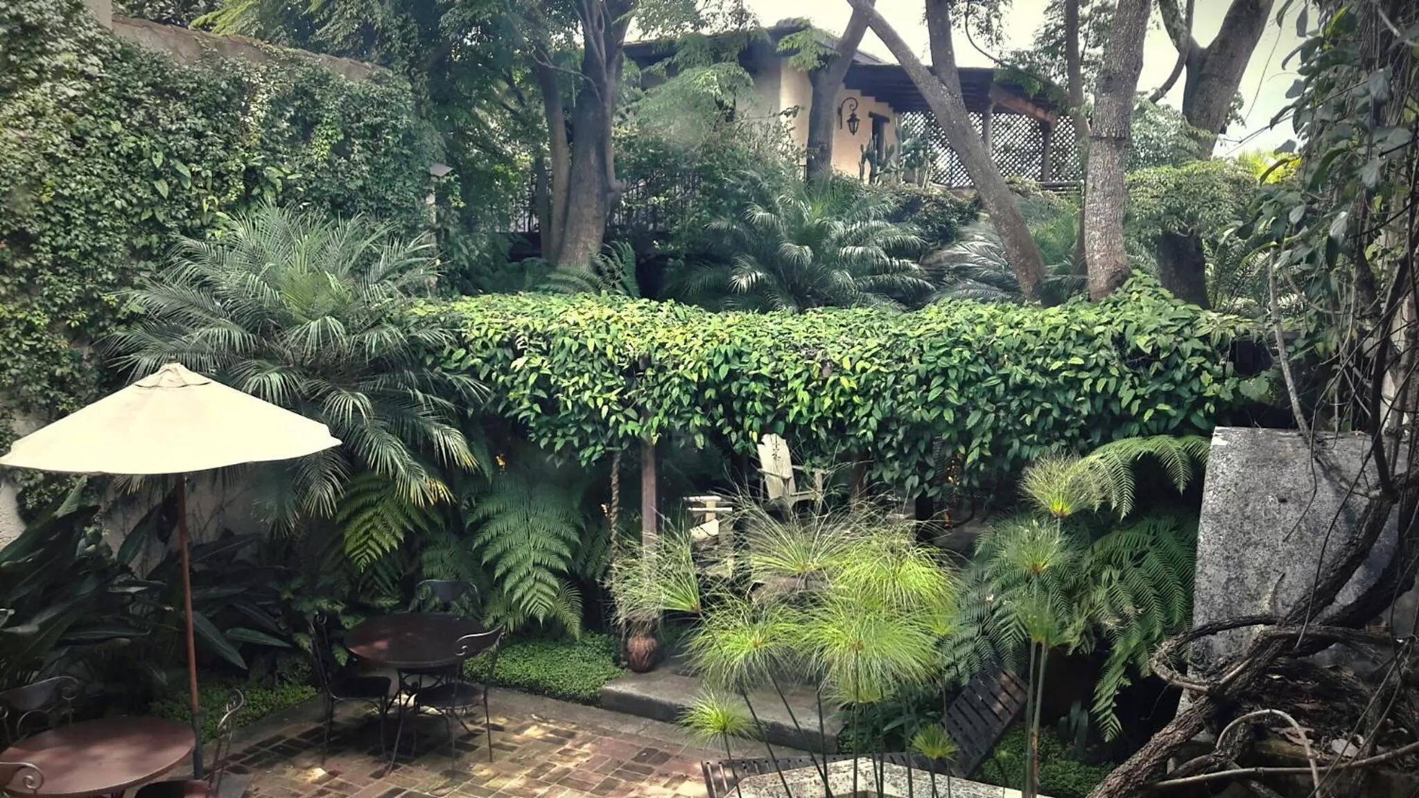 Cissus Hotel Boutique