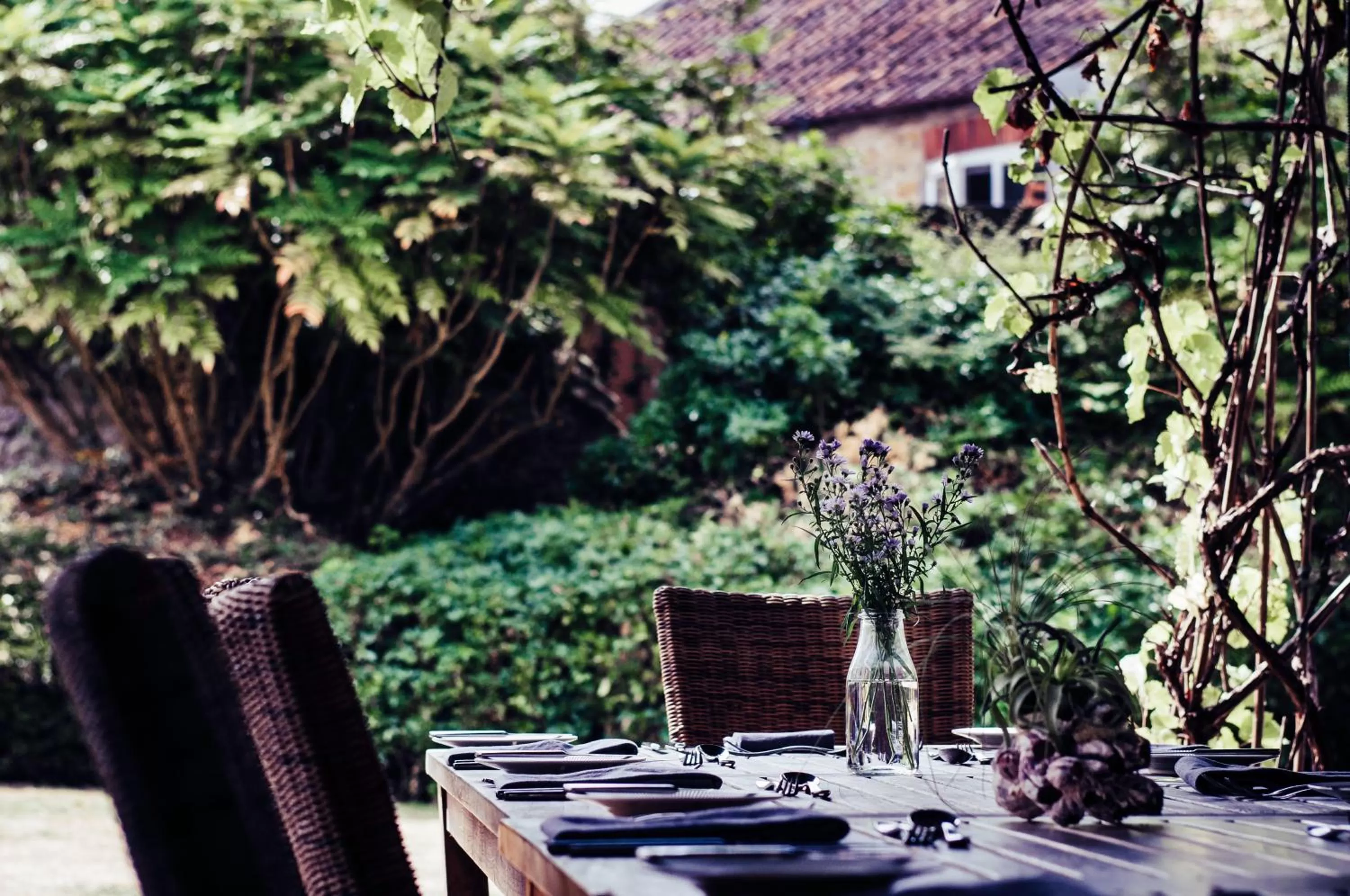 Garden in The Ollerod