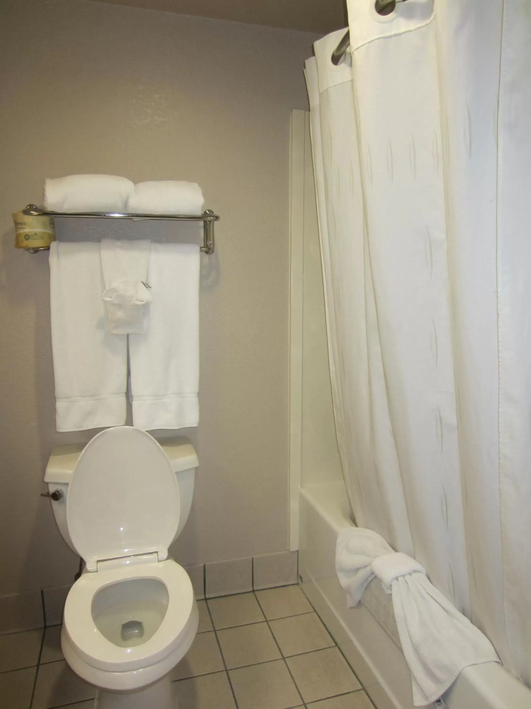 Bathroom in Holiday Inn Express Rocklin - Galleria Area, an IHG Hotel