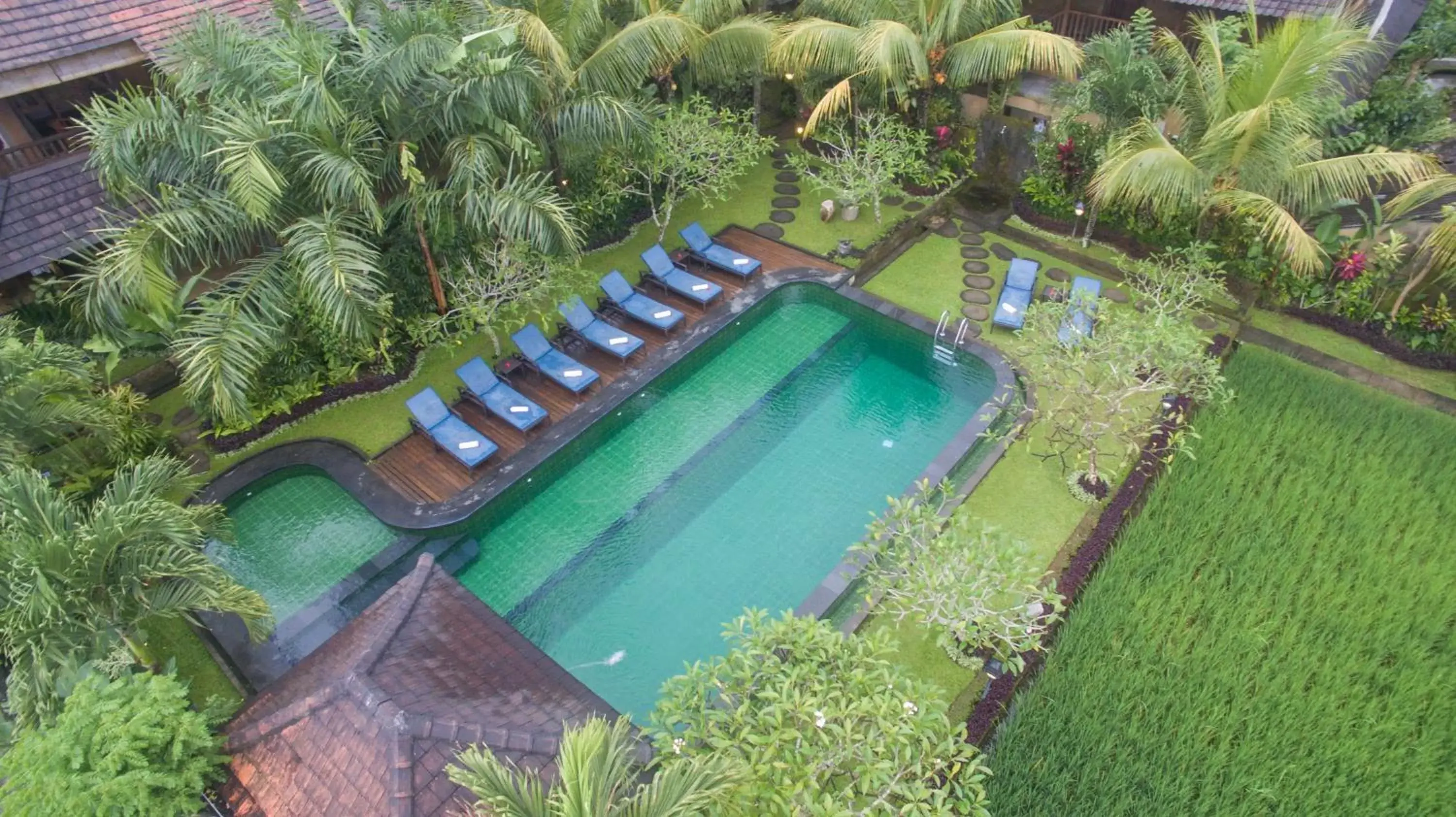 Swimming pool, Pool View in Bliss Ubud Spa Resort