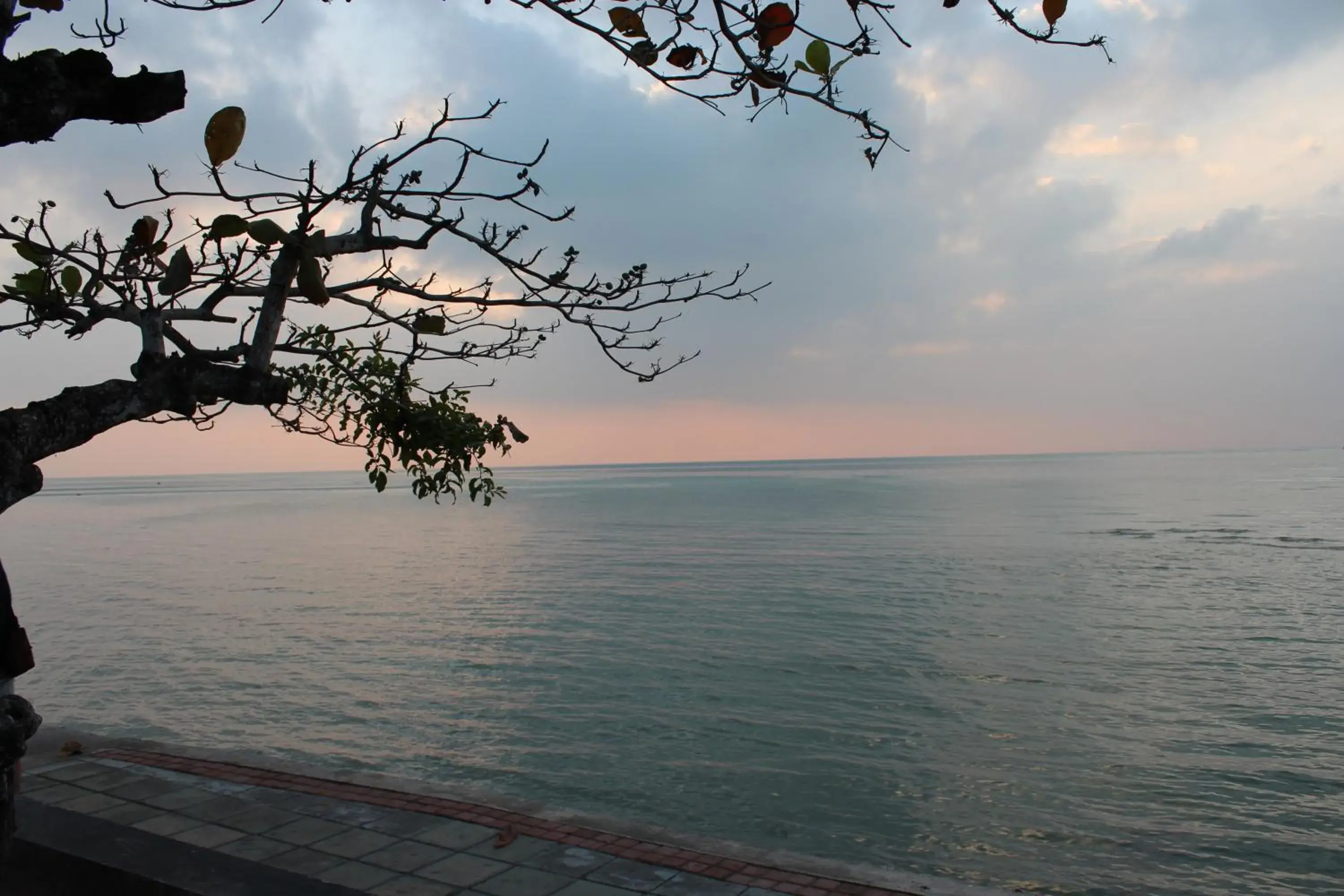 Natural landscape in Sri Samui Hotel