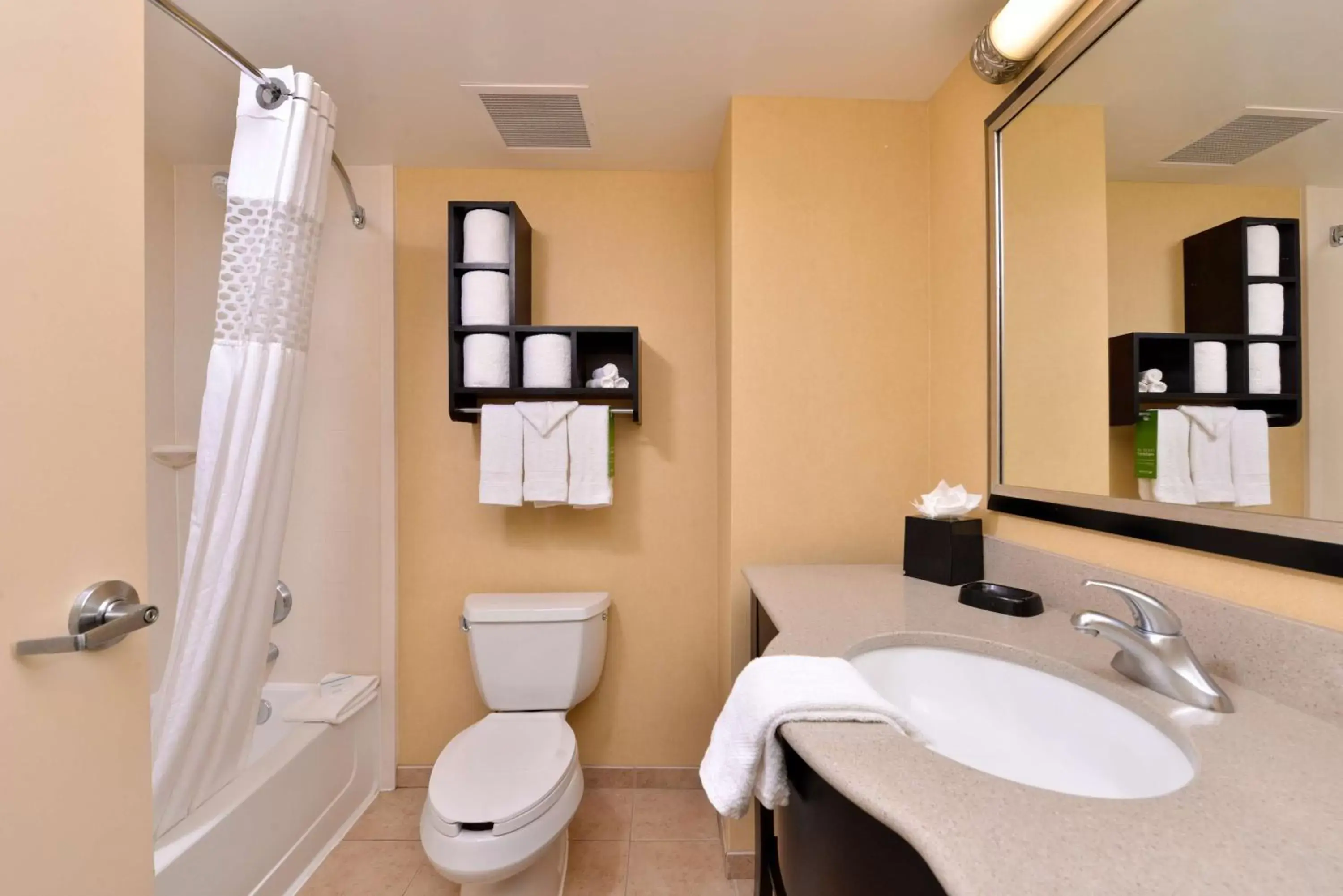 Bathroom in Hampton Inn & Suites Fort Belvoir Alexandria South