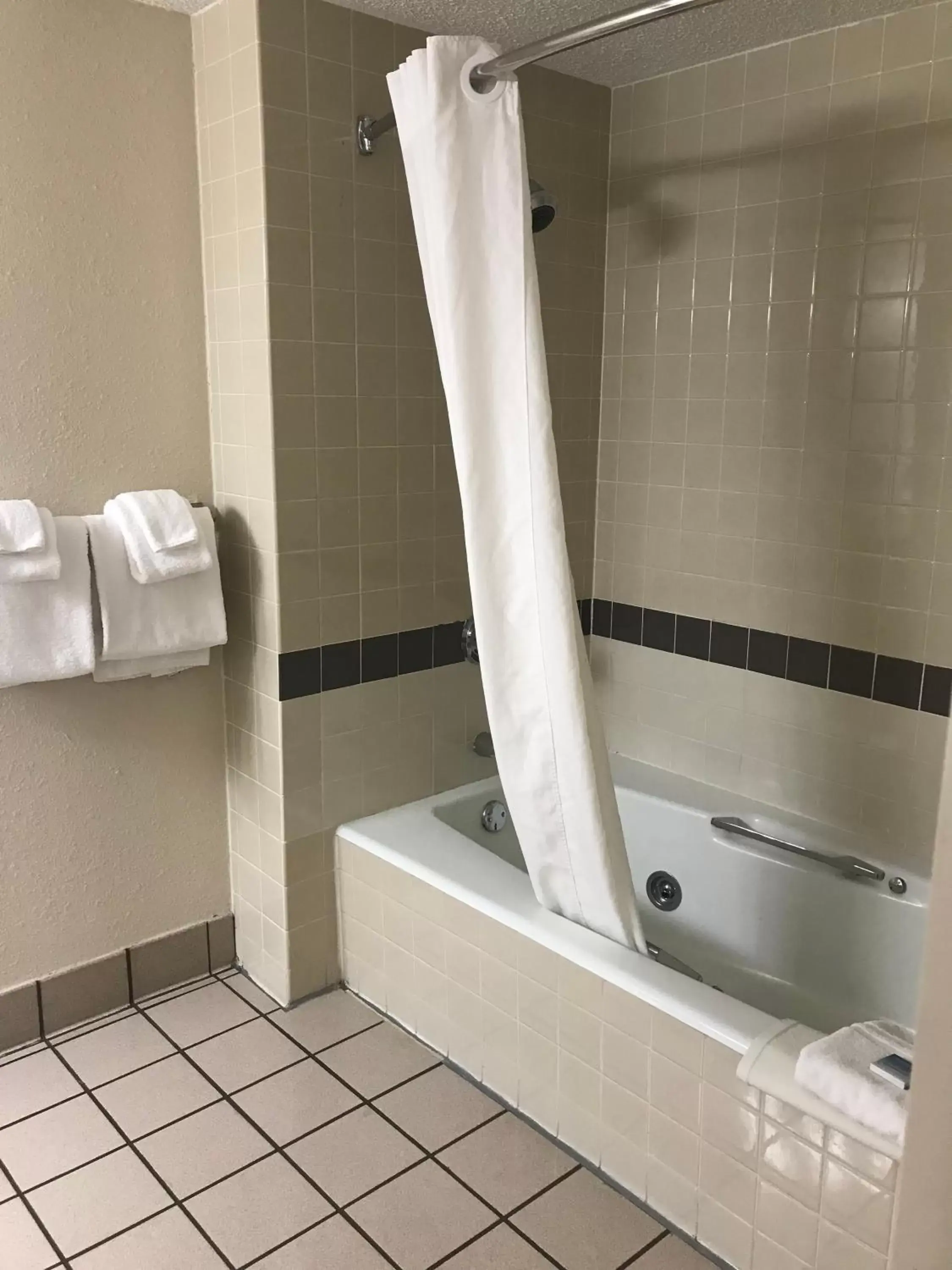 Shower, Bathroom in Best Western Kelly Inn - Yankton