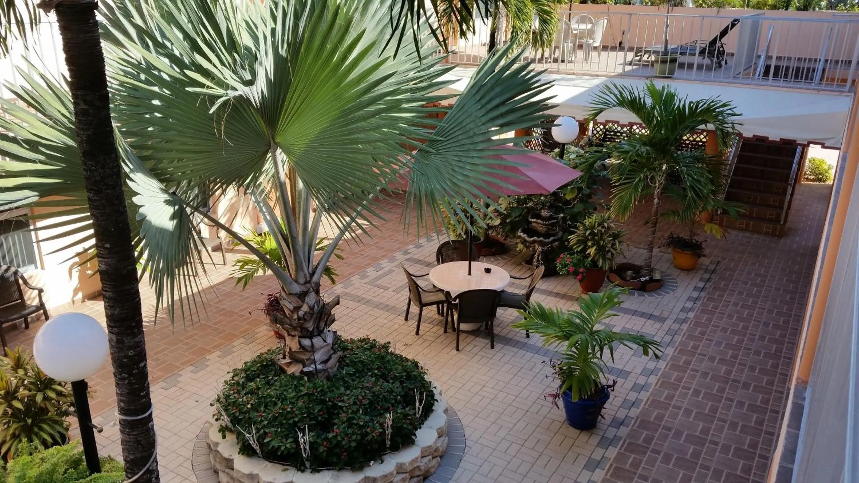 Garden view in Lago Mar Motel and Apartments