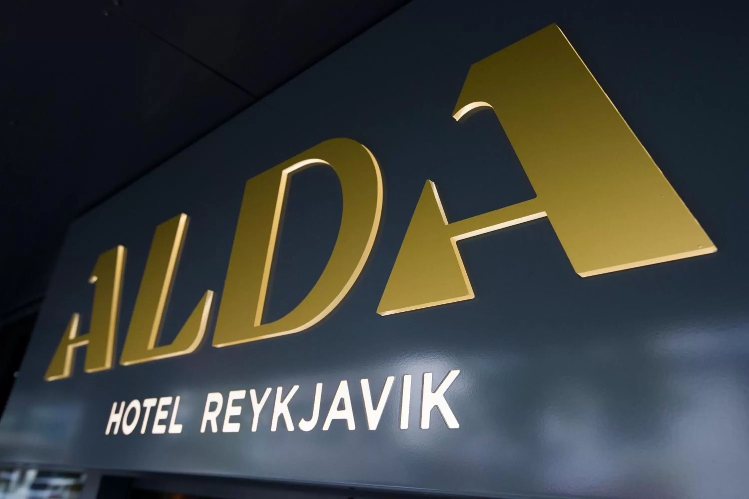 Decorative detail in Alda Hotel Reykjavík