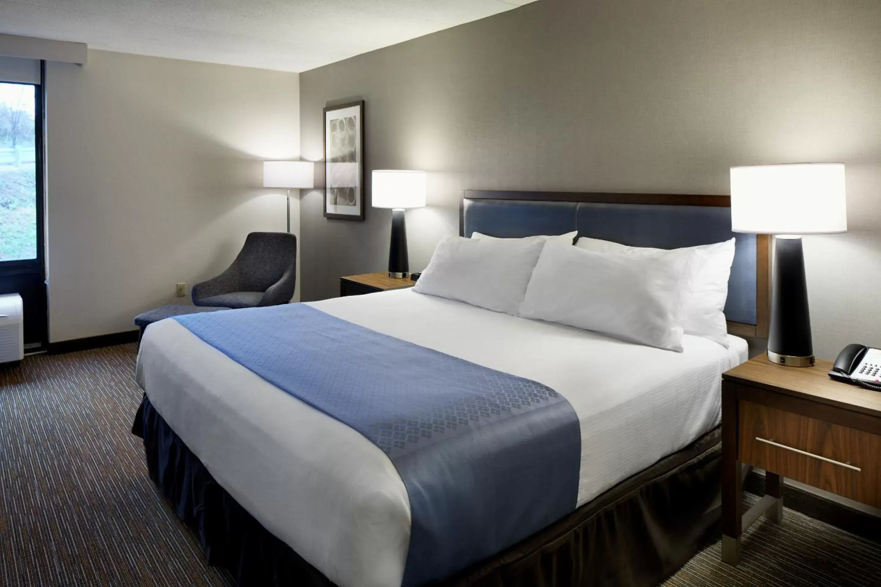 King Room - Non-Smoking in Wingate by Wyndham St. Clairsville/Wheeling King Room - Non-Smoking in Wingate by Wyndham St. Clairsville/Wheeling