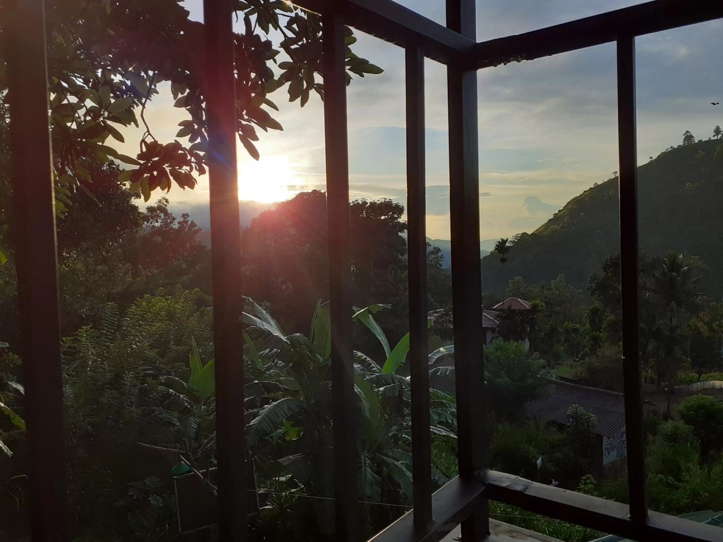 Natural landscape in Dimuthu Home Stay