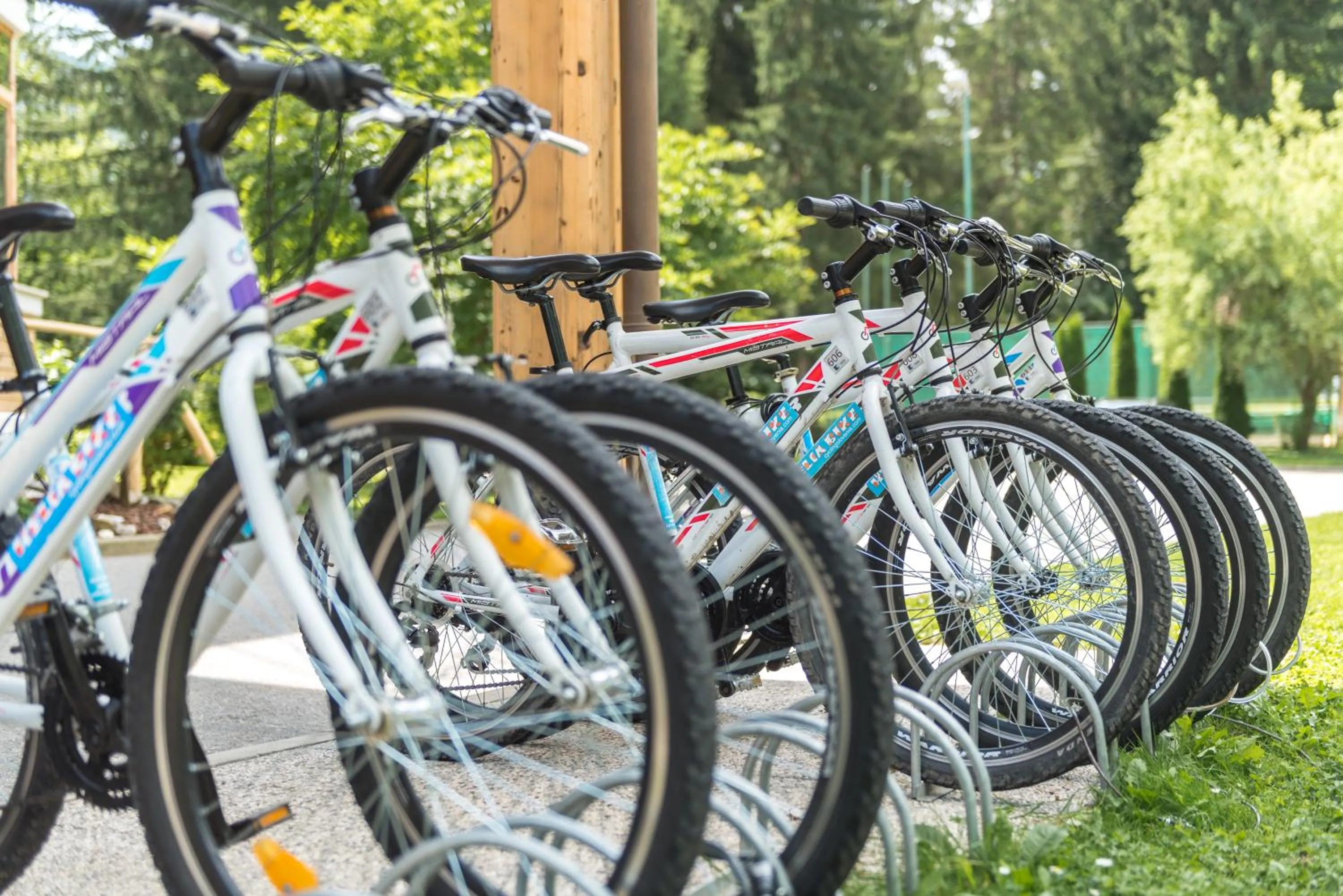 Cycling in Ribno Alpine Hotel