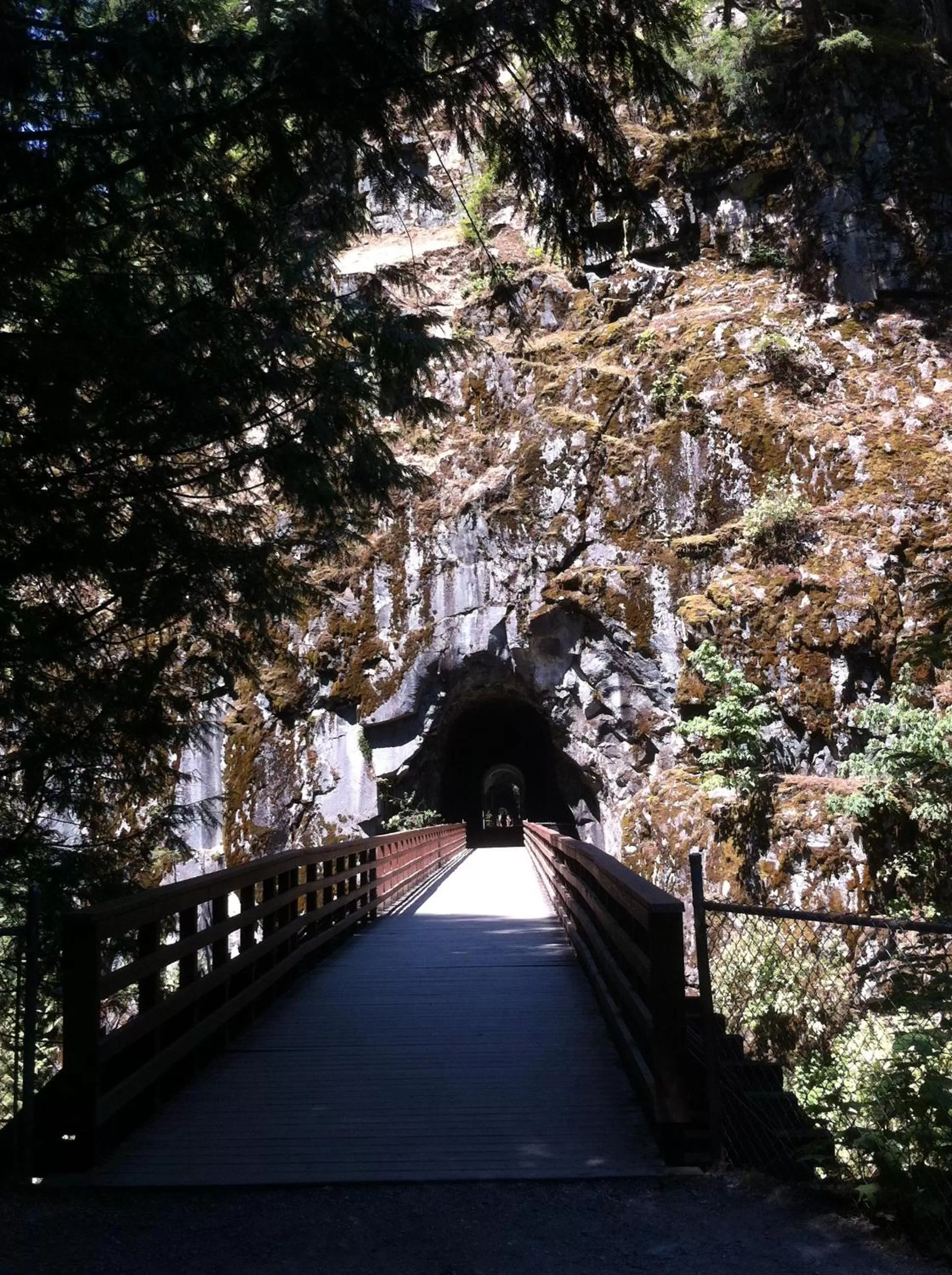Hiking in Evergreen Bed & Breakfast