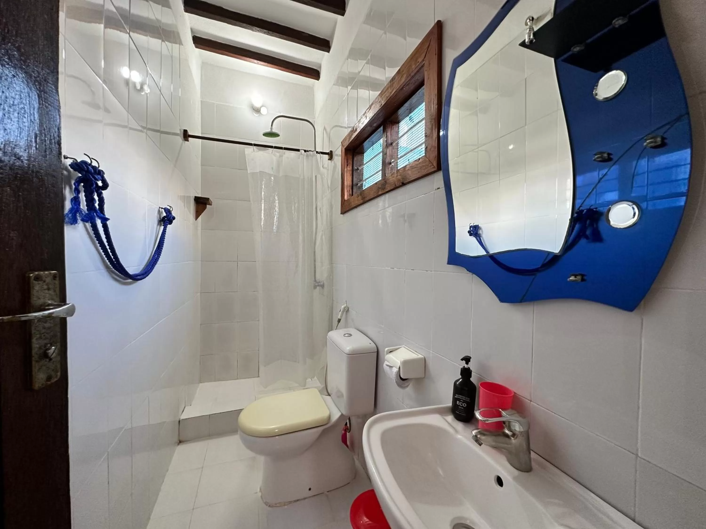 Toilet in Kihori Nungwi