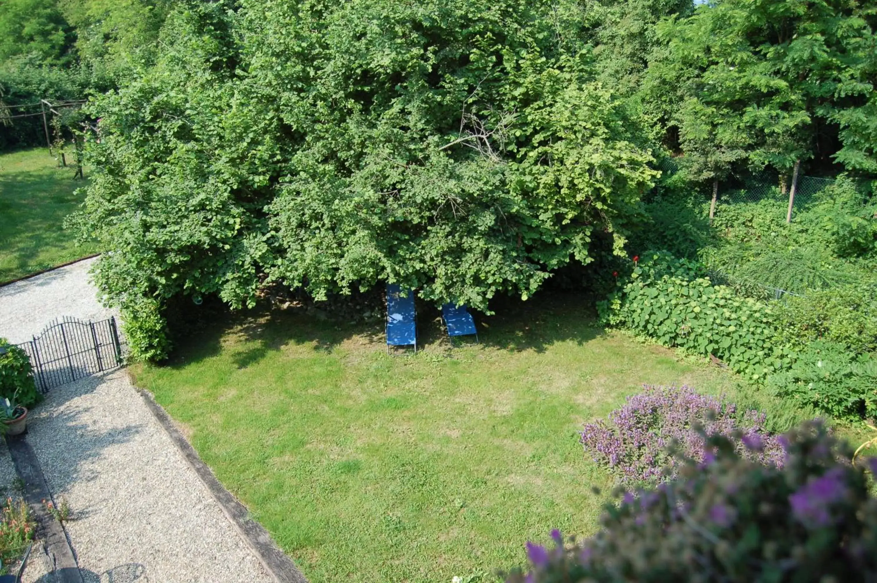 Garden view, Garden in Quattrocolli B&B