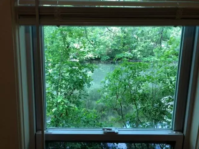 View in Herring Run Motel and Tiny Cabins