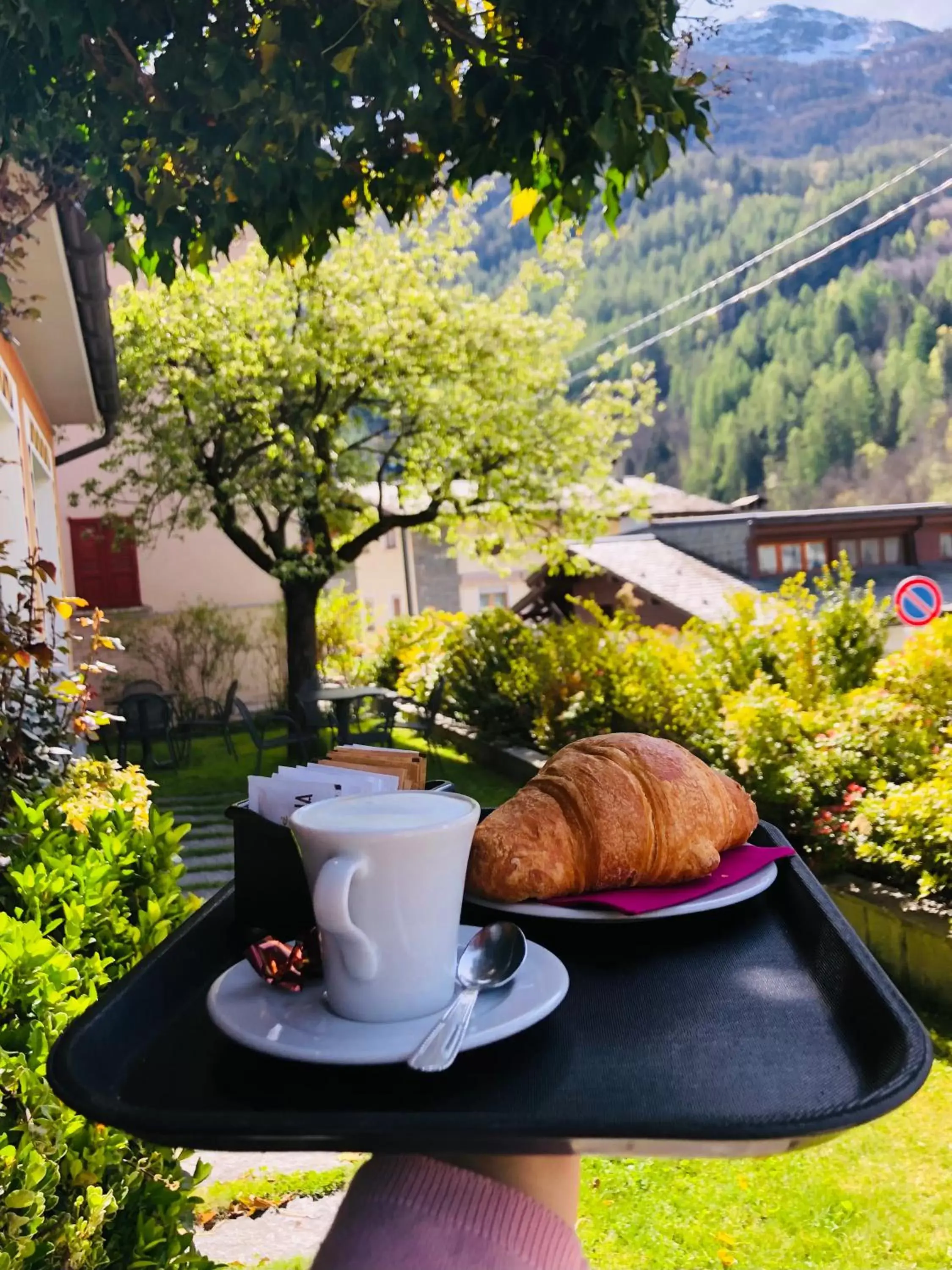 Garden in Hotel Moizi