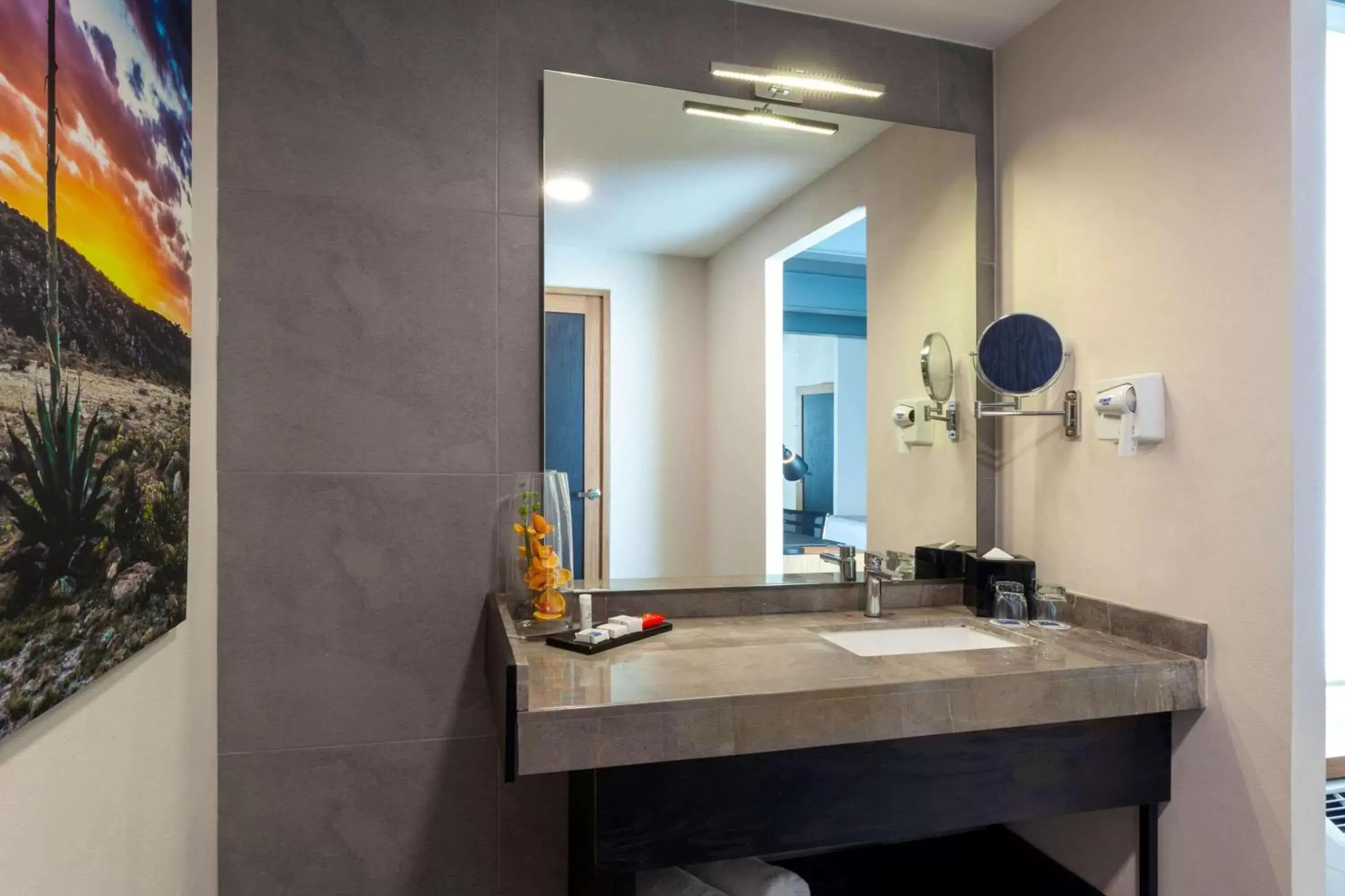 Photo of the whole room, Bathroom in TRYP by Wyndham San Luis Potosi Hotel & Suites