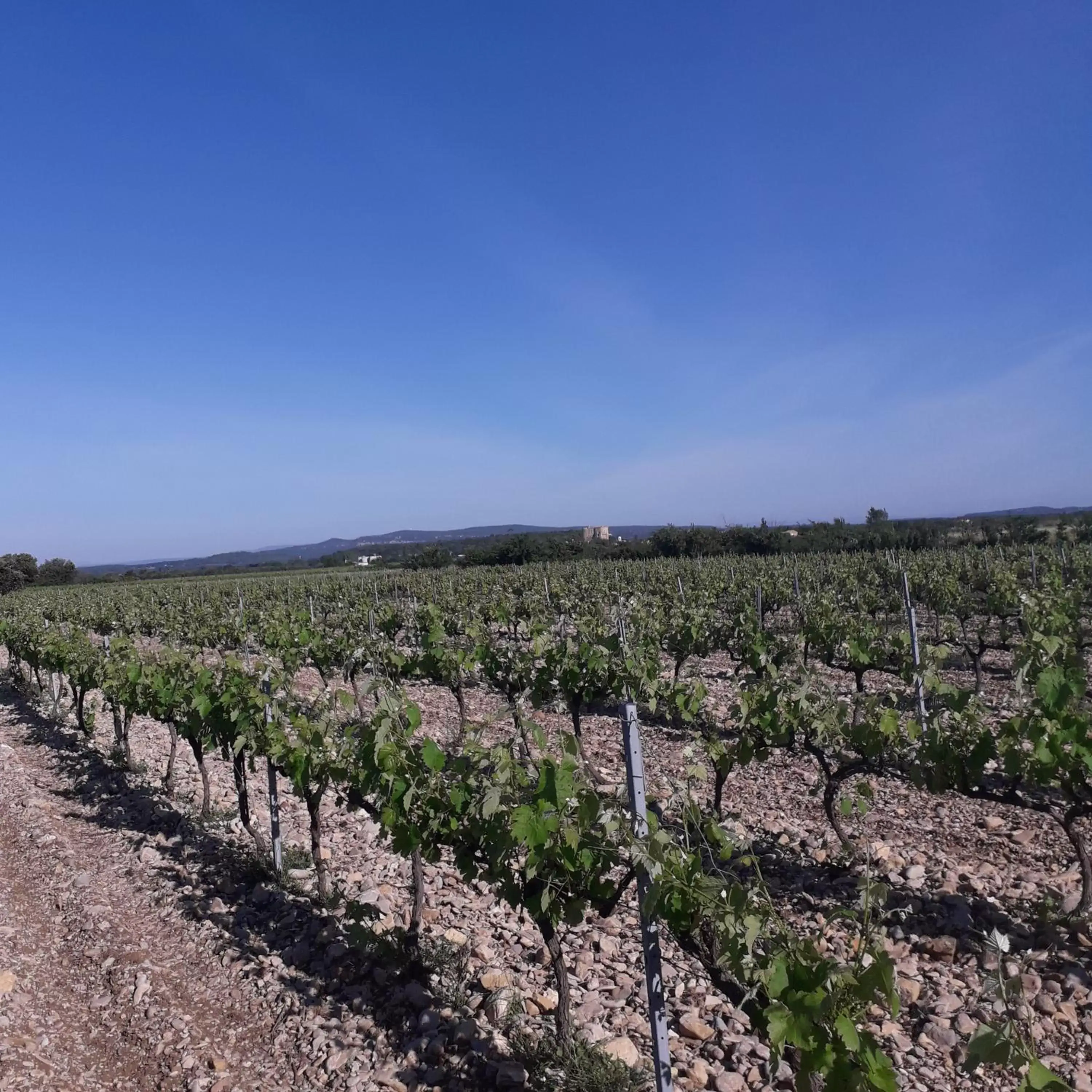 View (from property/room), Bird's-eye View in Vents d'Anges