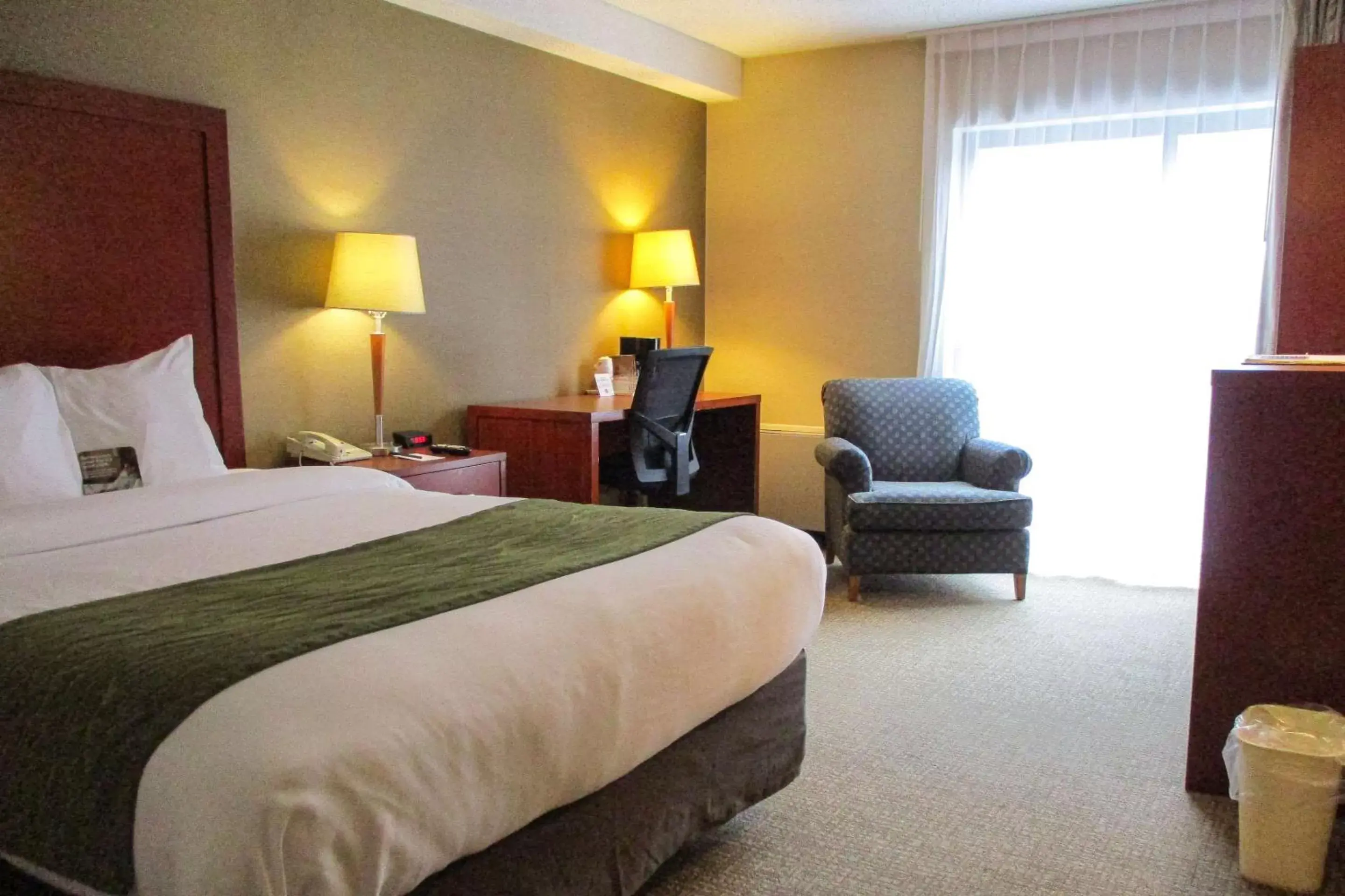 Photo of the whole room, Bed in Comfort Inn Dartmouth