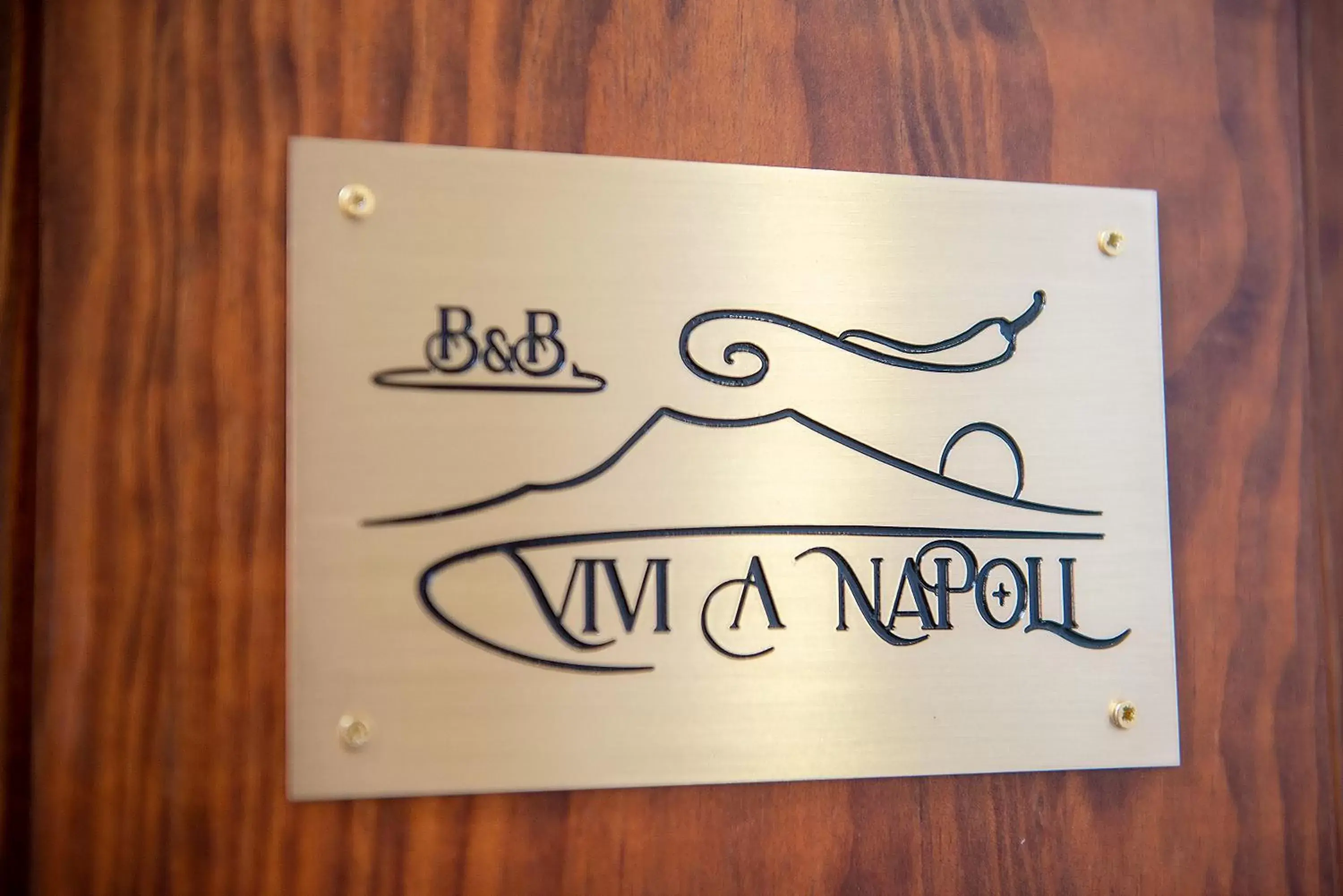 Property logo or sign in VIVI A NAPOLI
