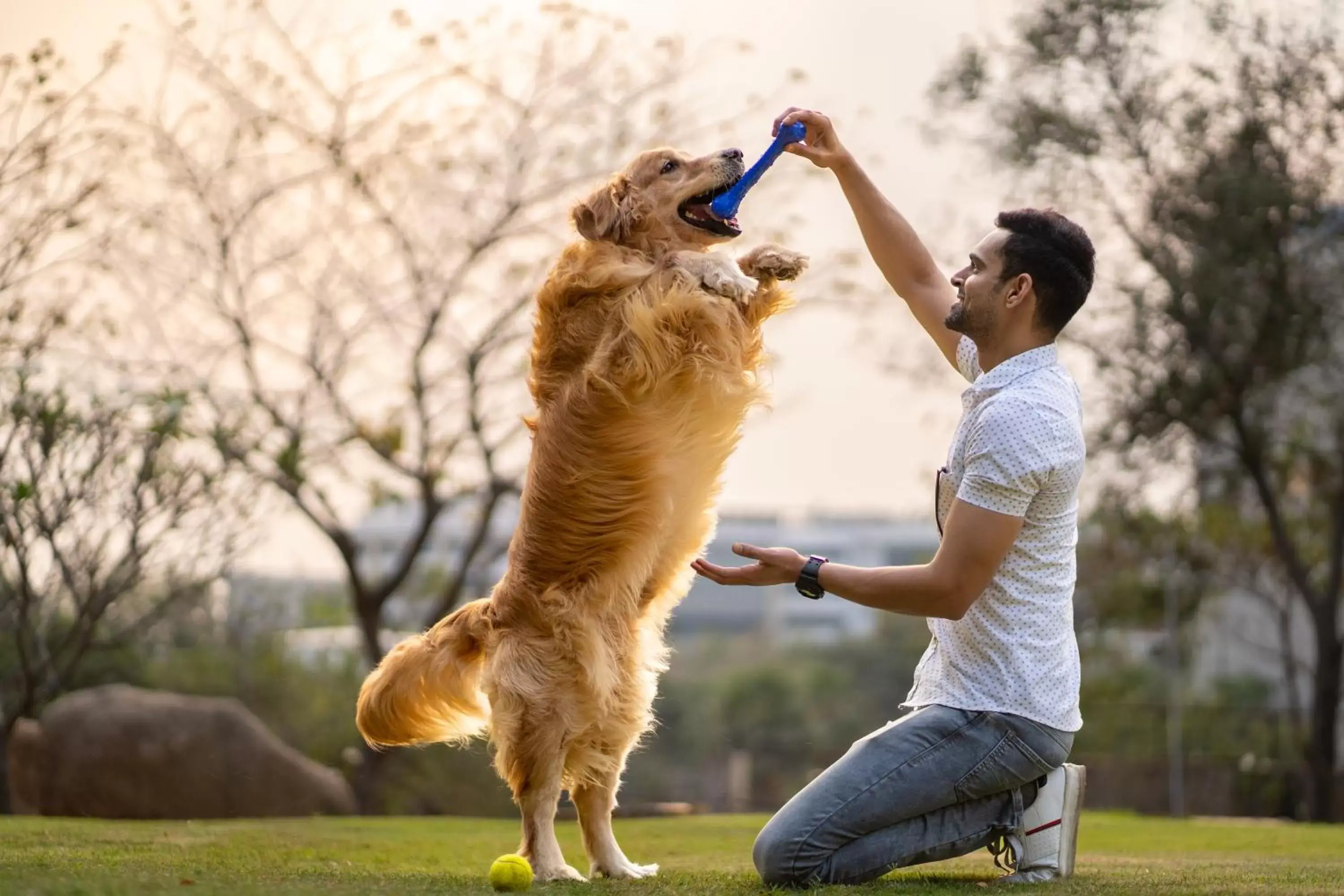 Pets in Hyatt Hyderabad Gachibowli