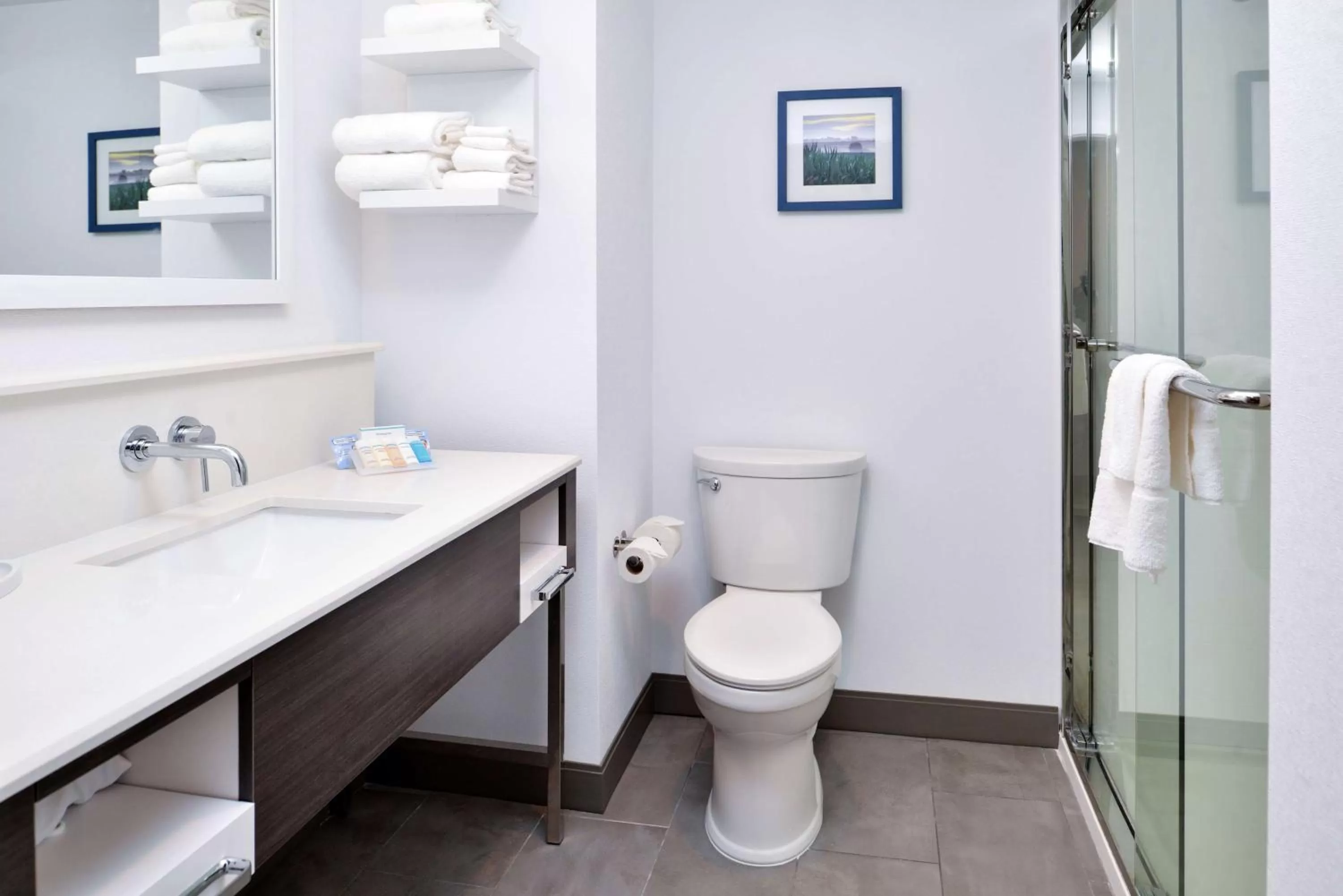 Bathroom in Hampton Inn Cedar Falls Downtown, Ia