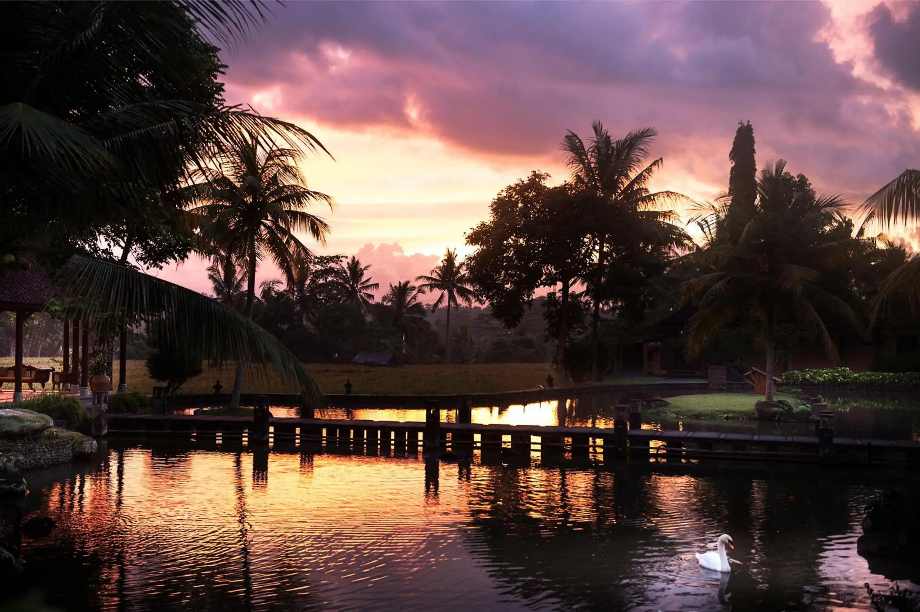 Sunset, Swimming Pool in Tanah Gajah, a Resort by Hadiprana