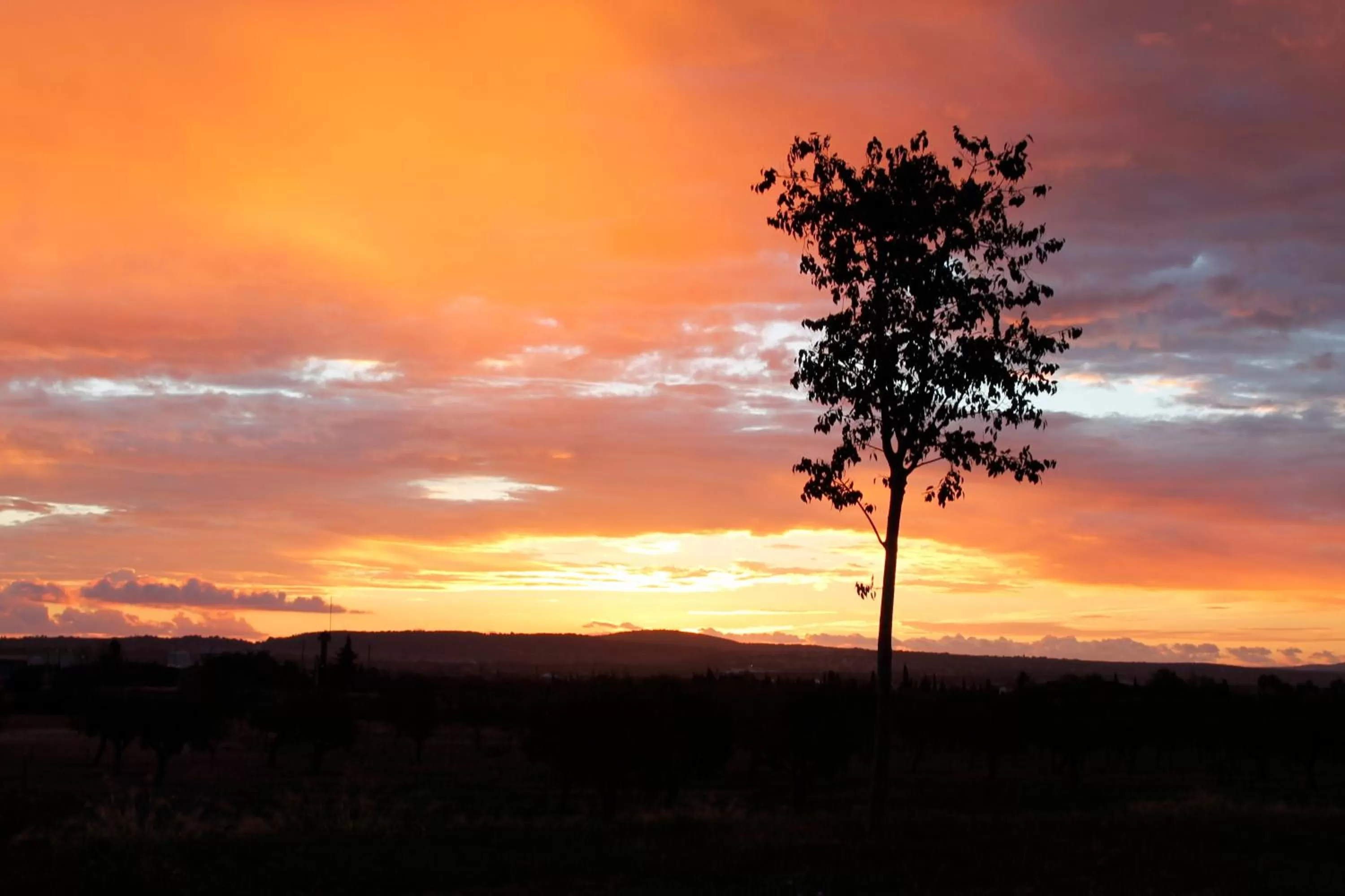 Area and facilities, Sunrise/Sunset in loftOtel canet