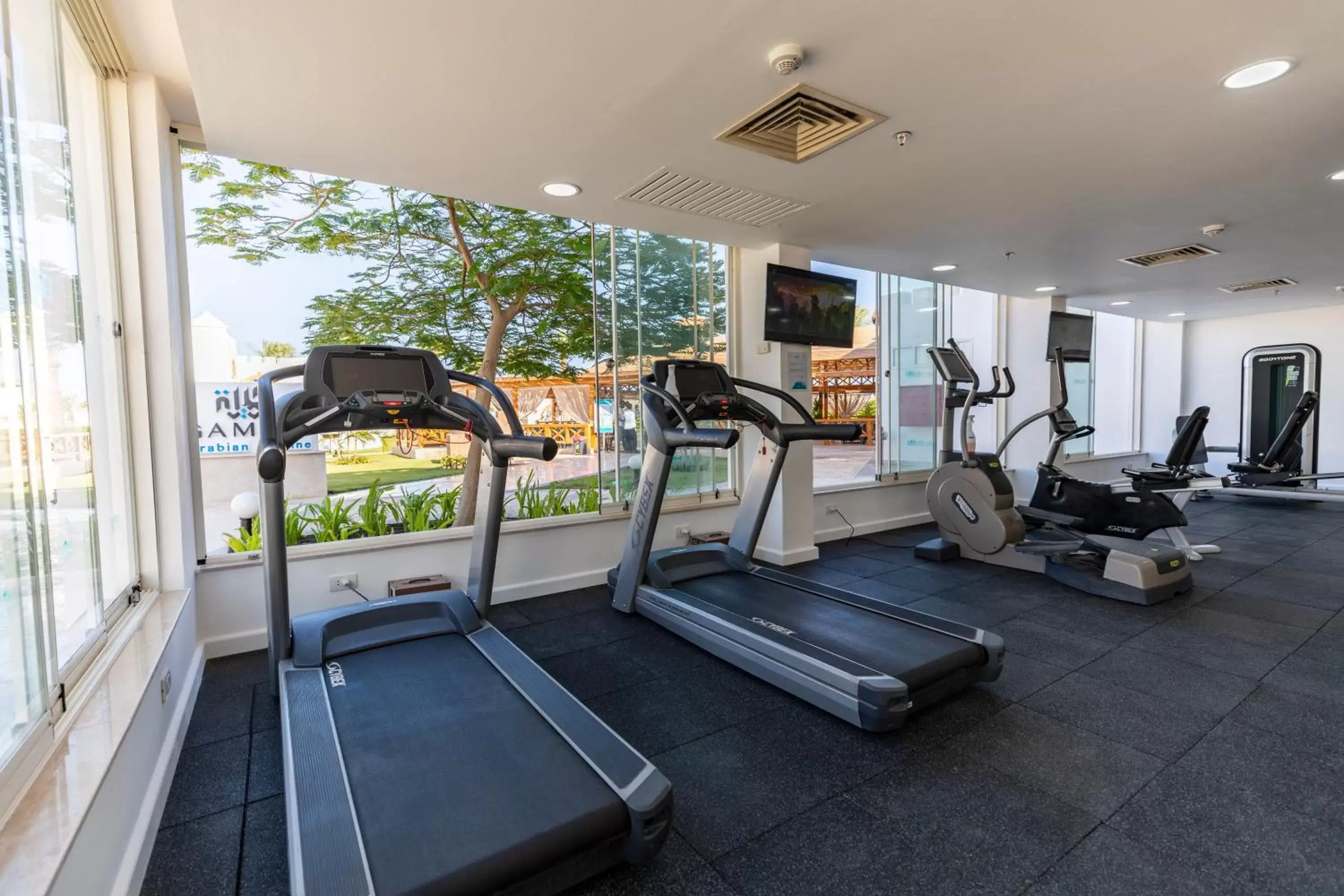 Activities, Fitness Center/Facilities in Sunrise Remal Resort