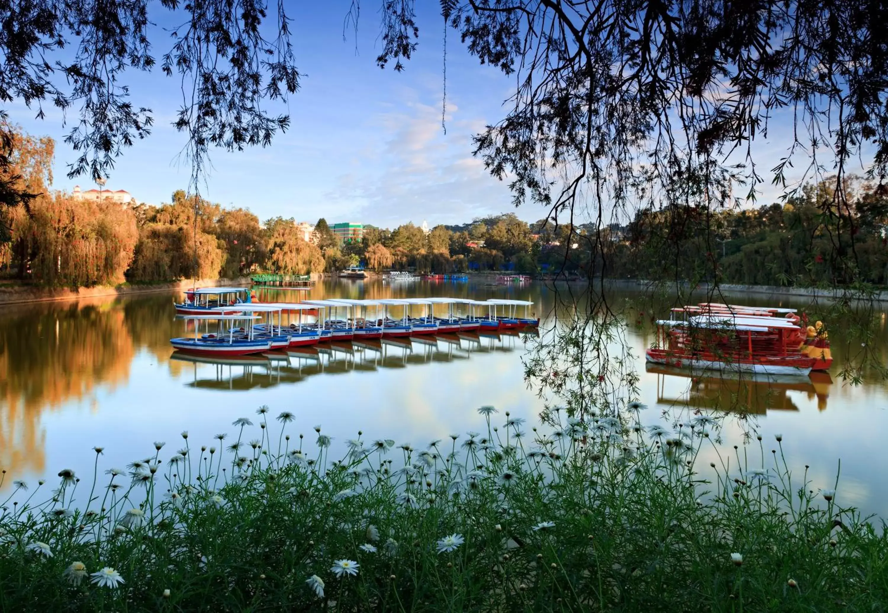 Day in Microtel by Wyndham Baguio Day in Microtel by Wyndham Baguio