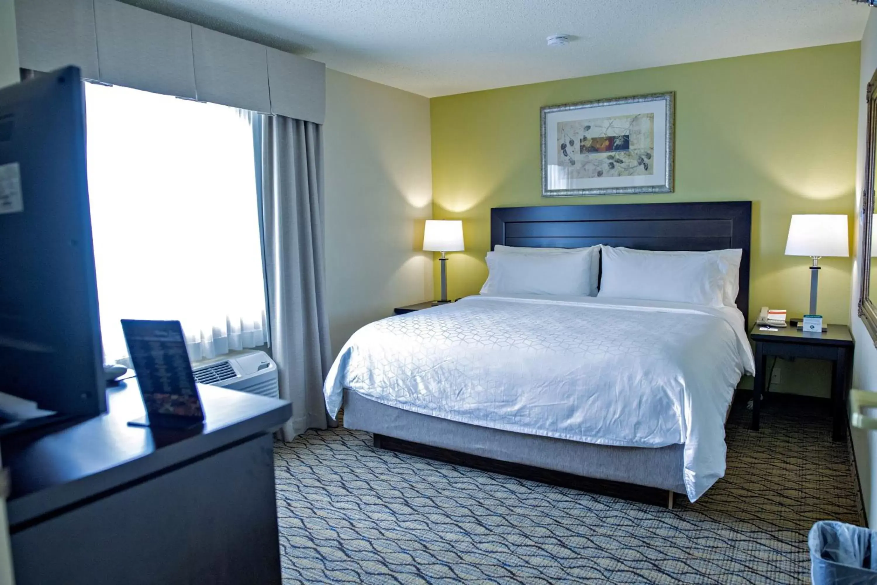 Photo of the whole room, Bed in Holiday Inn Express & Suites Chicago-Libertyville, an IHG Hotel