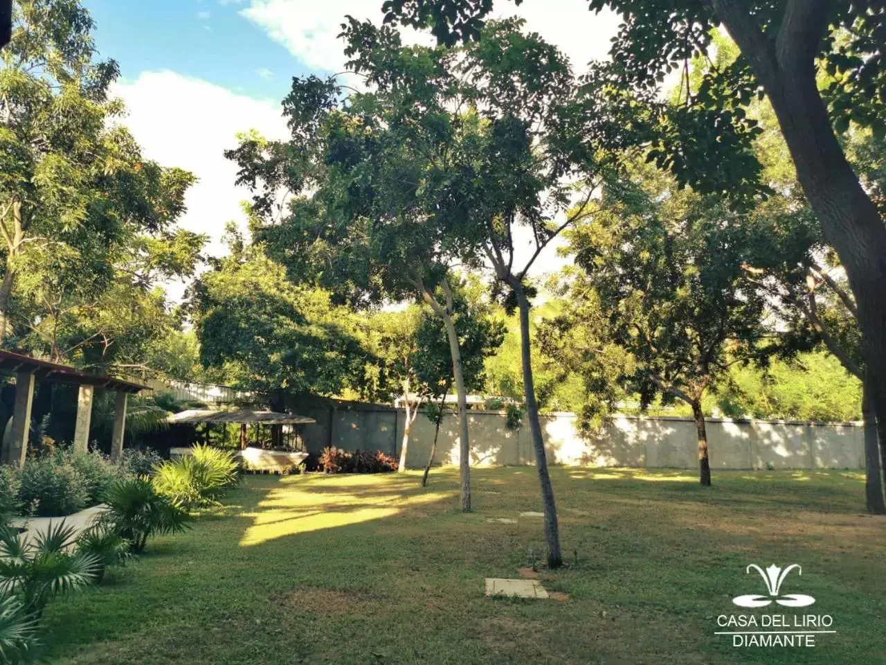 Garden in Hotel Casa de Lirio Diamante