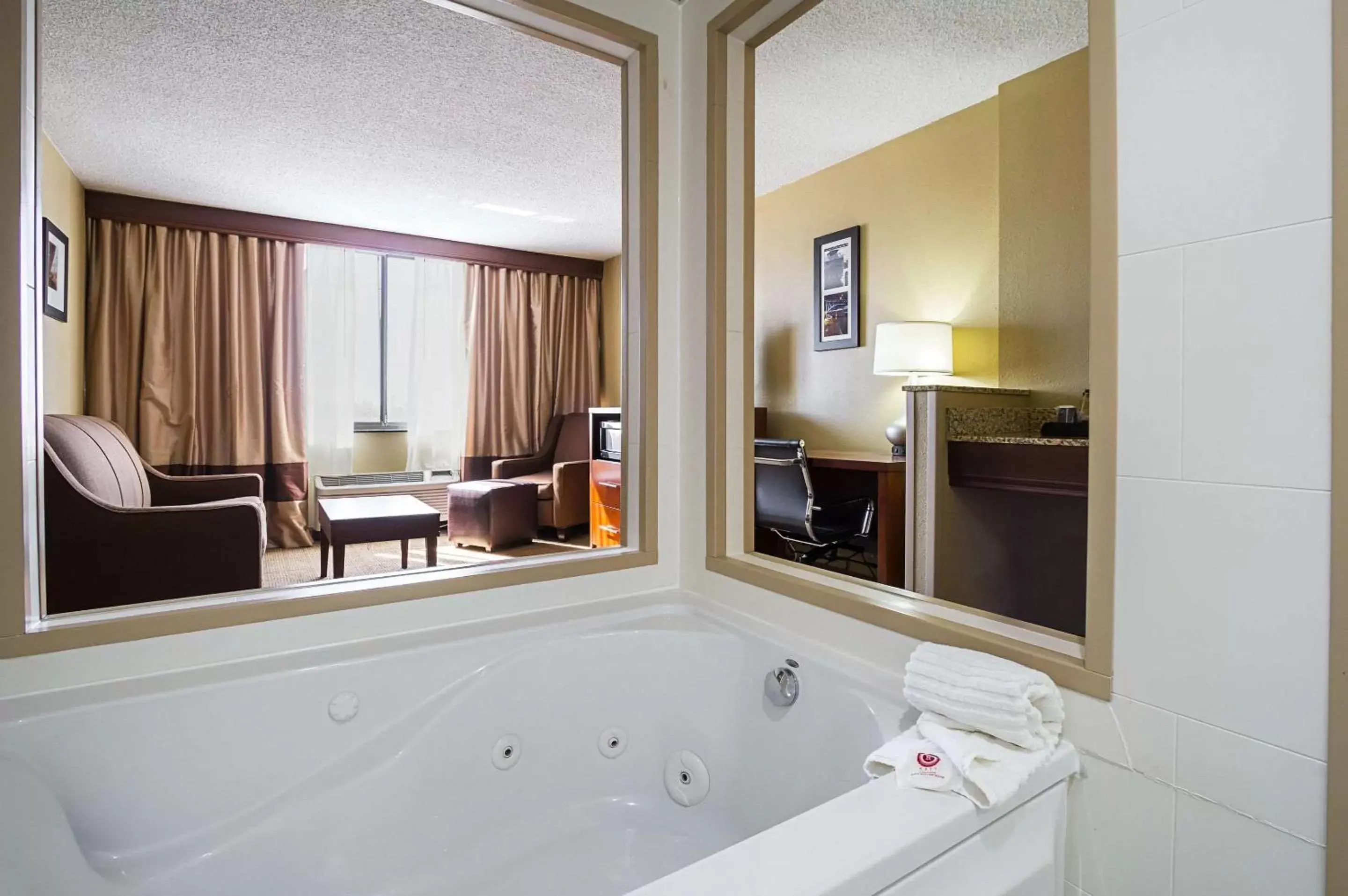 Photo of the whole room, Bathroom in Comfort Inn Downtown Cleveland