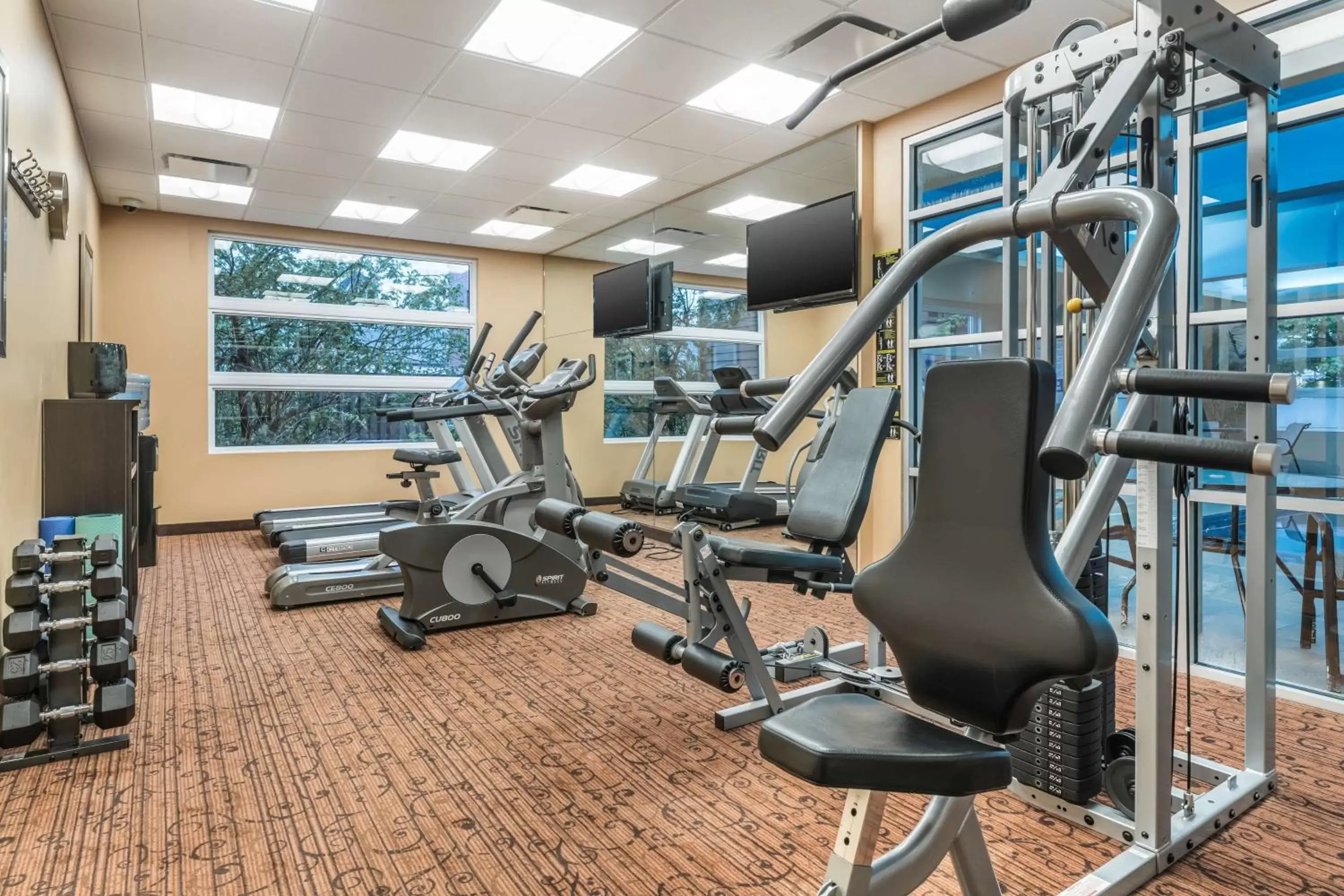 Spa and wellness centre/facilities, Fitness Center/Facilities in Best Western Plus, Bathurst Hotel & Suites