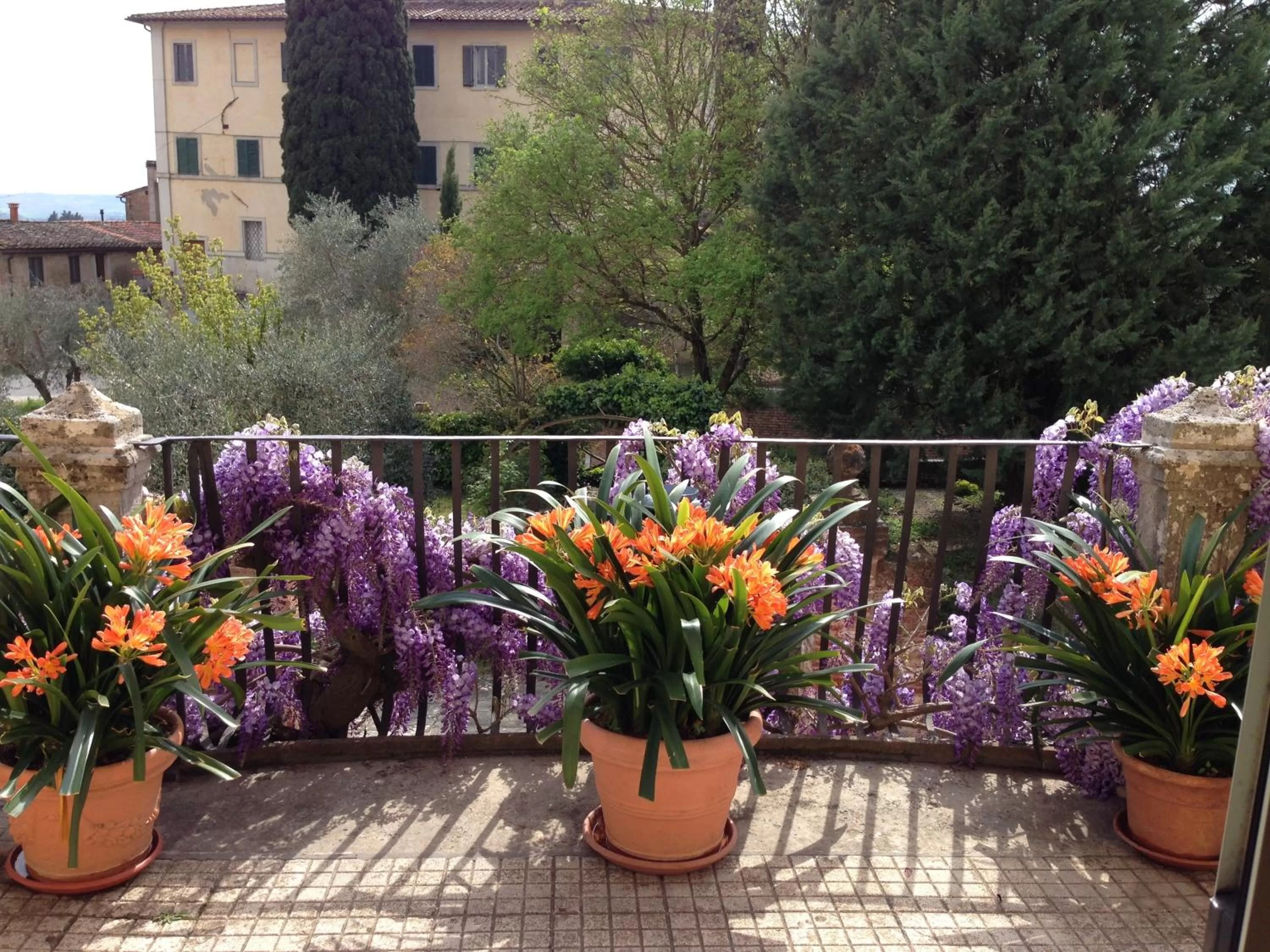 Balcony/Terrace in Hotel Palazzo di Valli