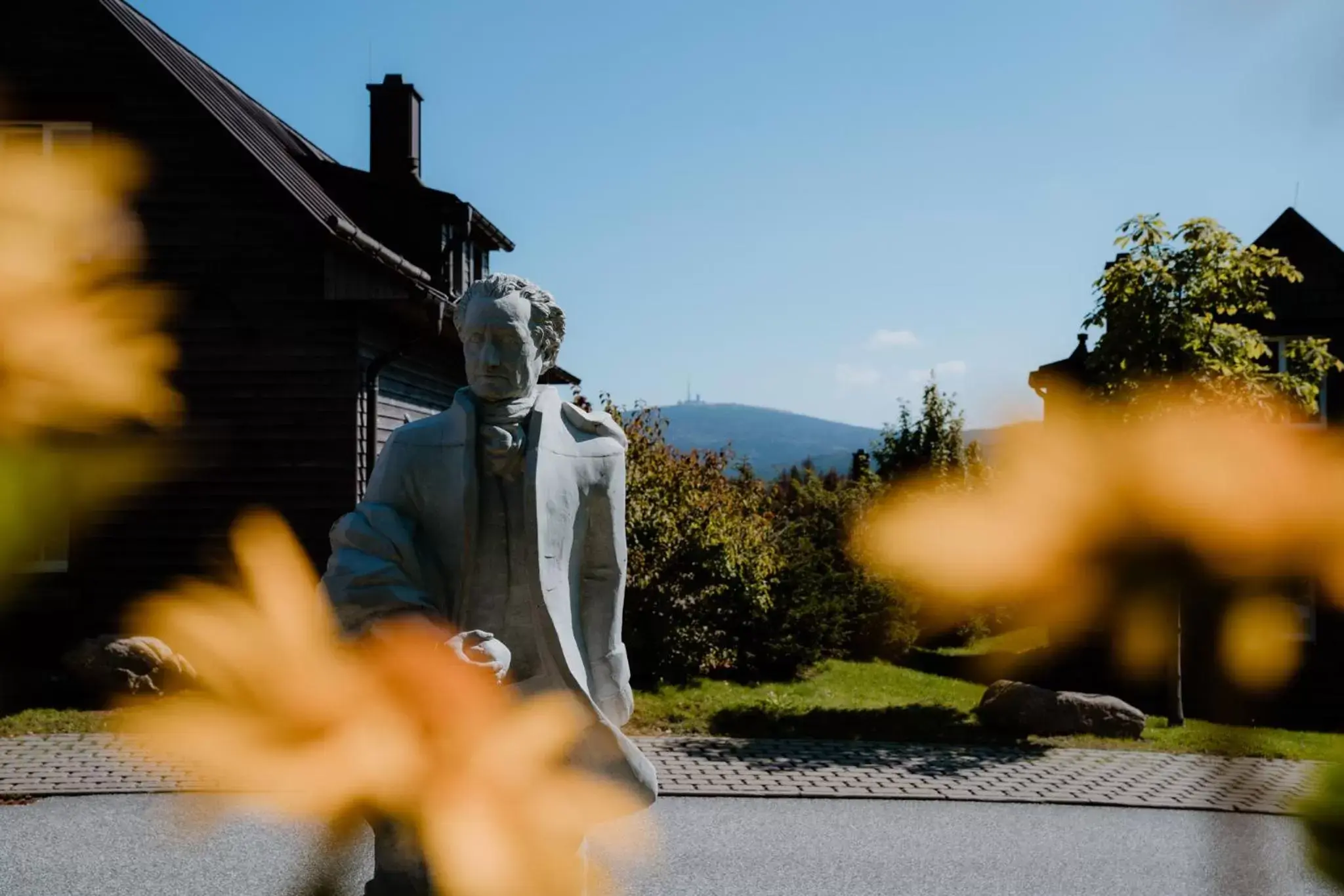 Mountain view in Torfhaus Harzresort