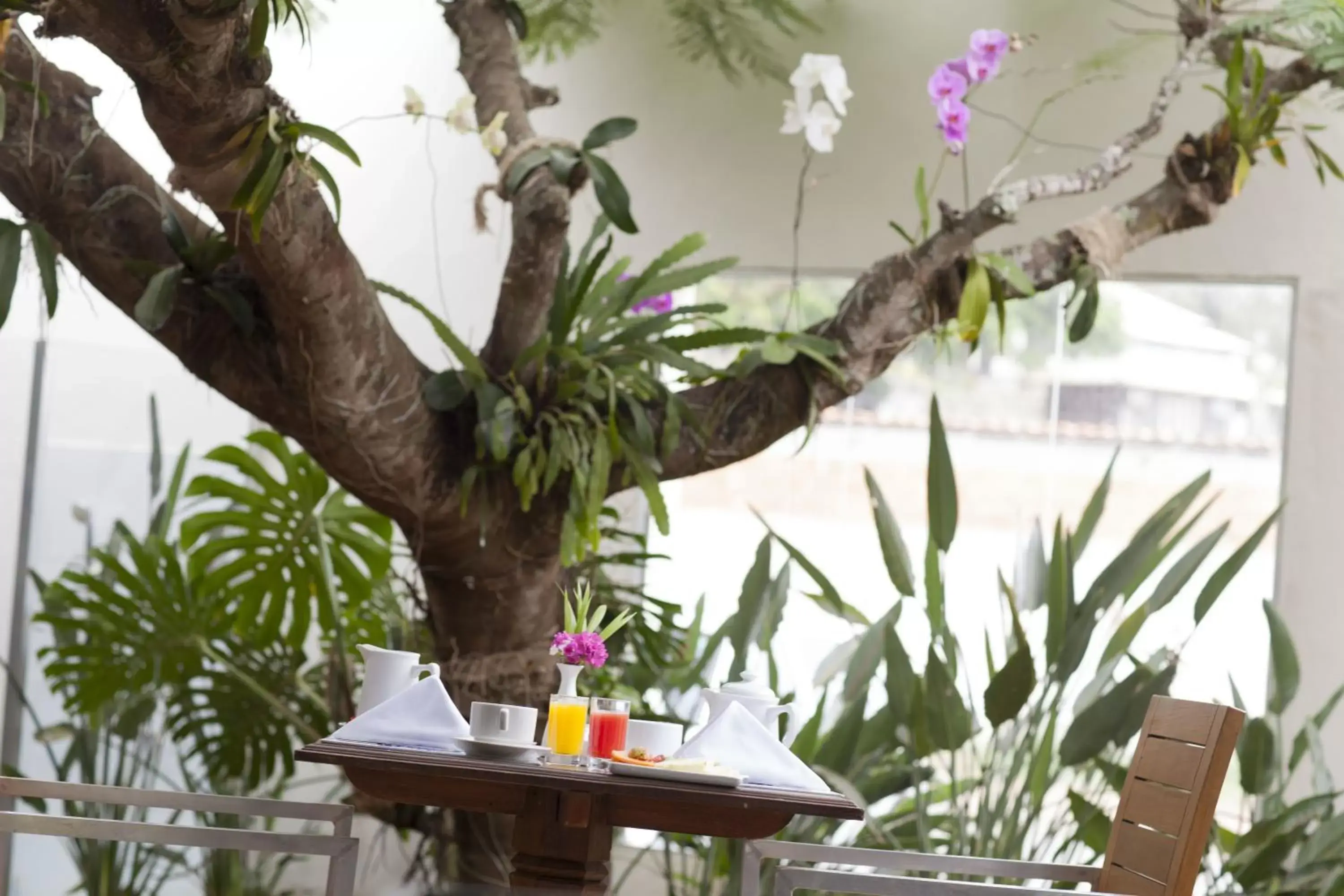 Balcony/Terrace, Restaurant/Places to Eat in Armação dos Búzios Pousada Design