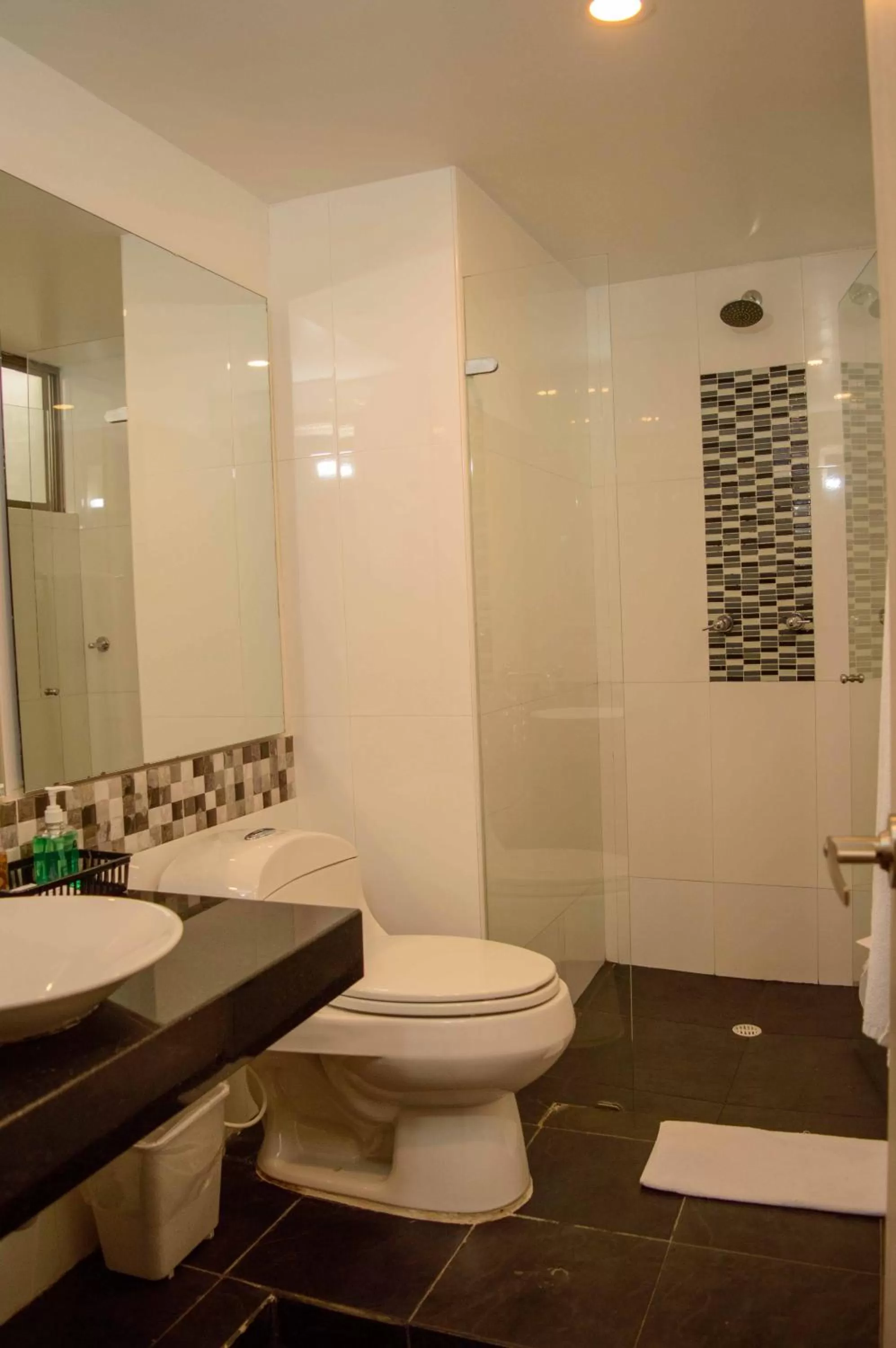 Three-Bedroom Suite in Hotel Confort 80 Zona Rosa By Hoteles Confort80