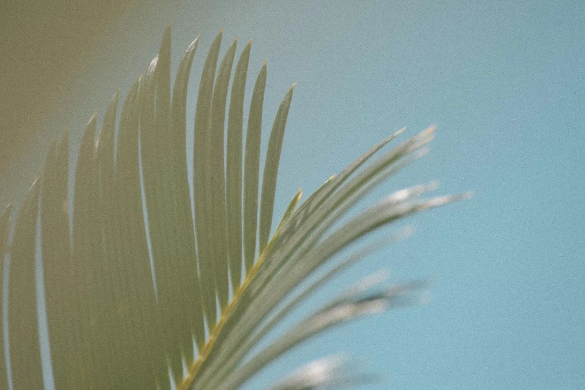 Day in Yara Hotel - Adults Only