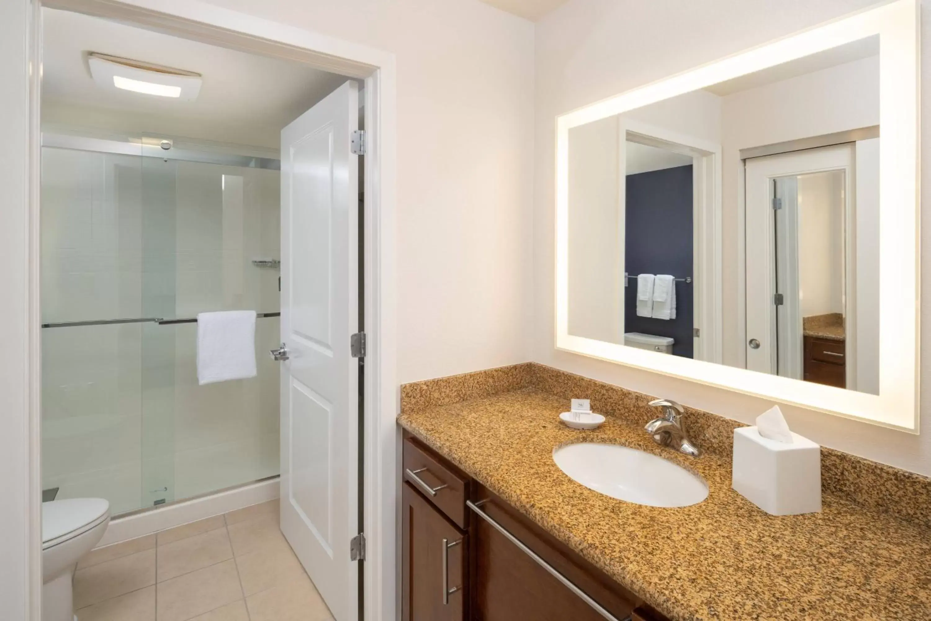 Bathroom in Residence Inn by Marriott Miami Airport