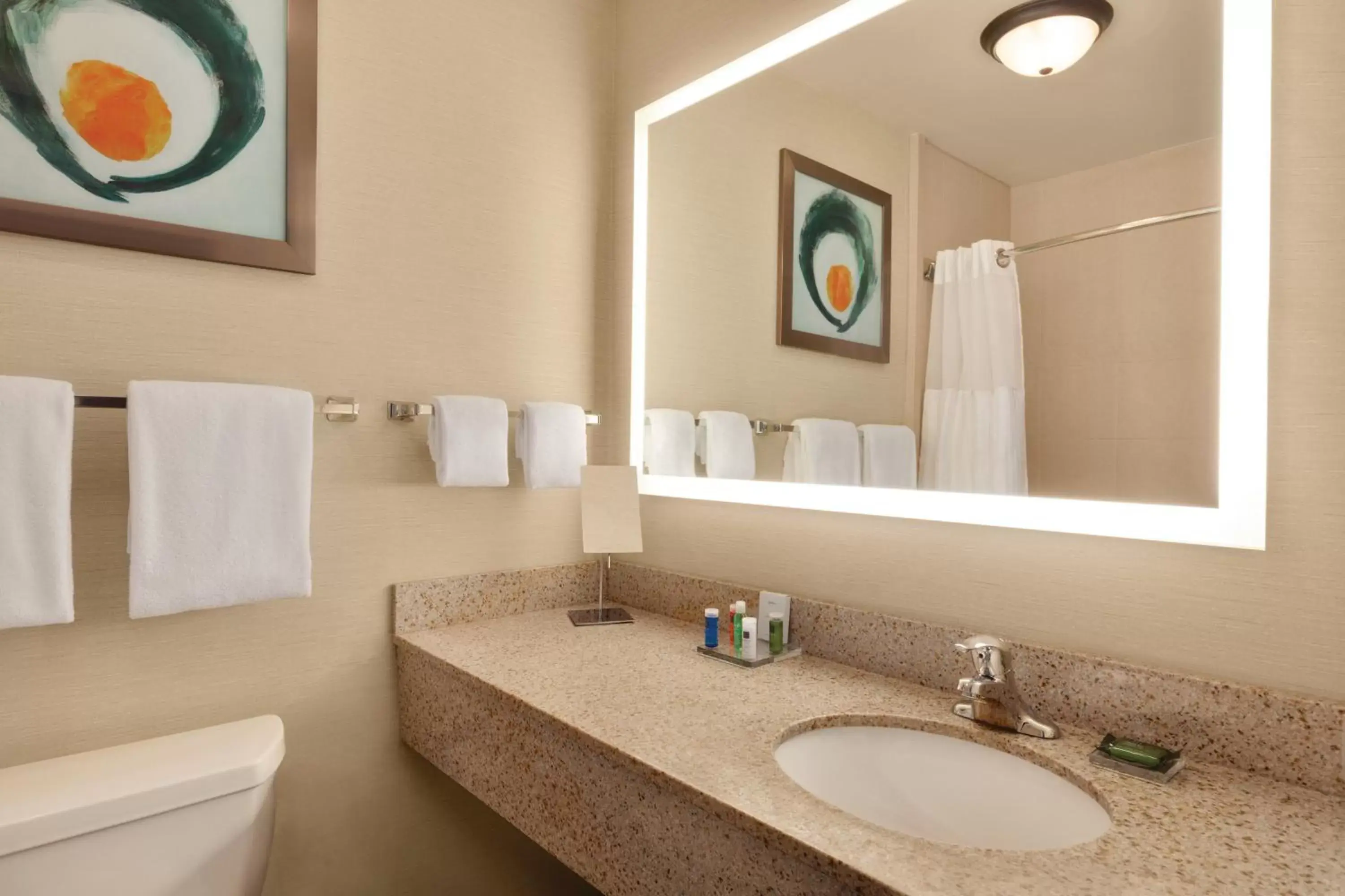 Bathroom in Radisson Hotel Lenexa Overland Park