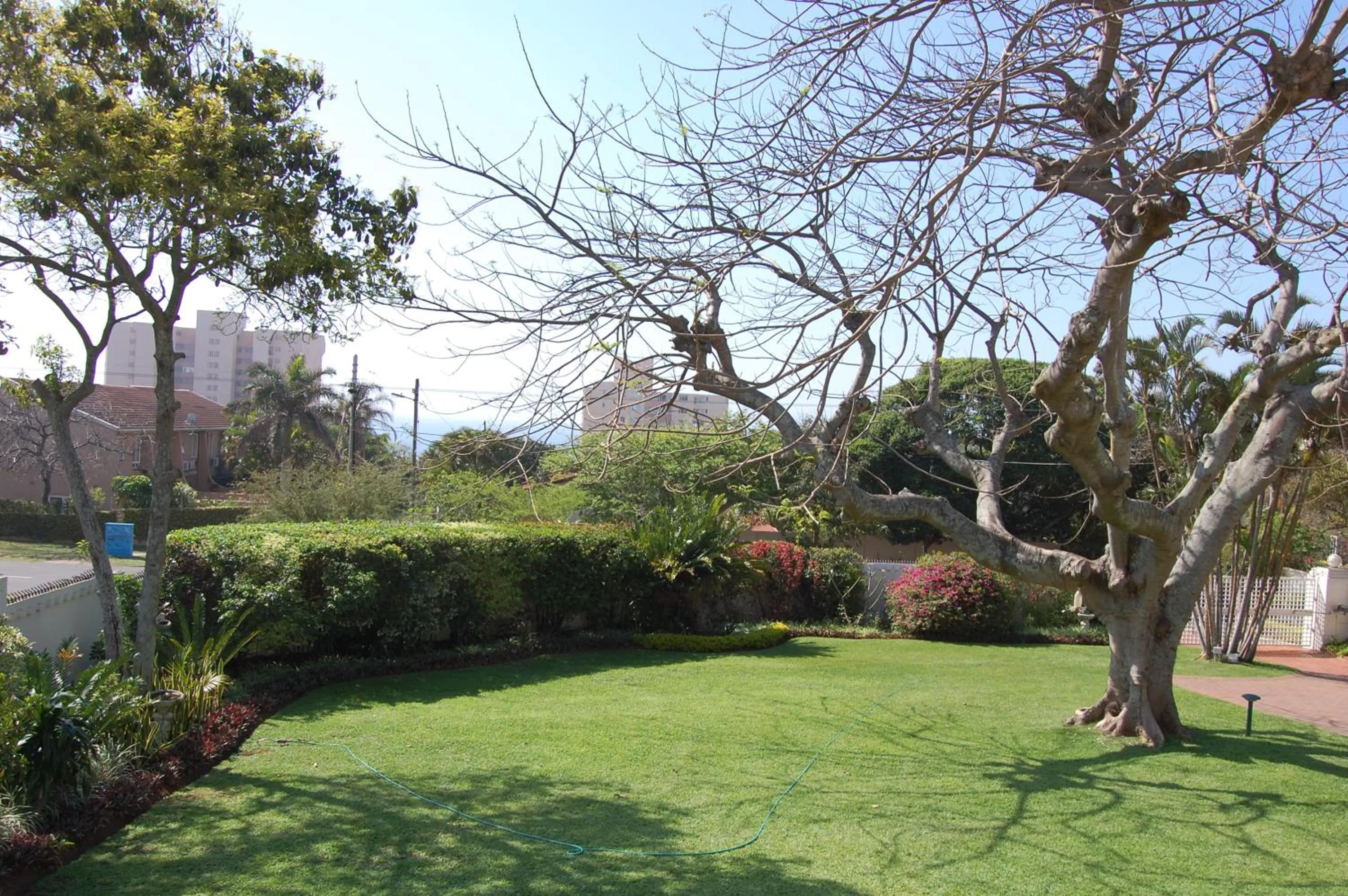 Garden in Sandals Guest House