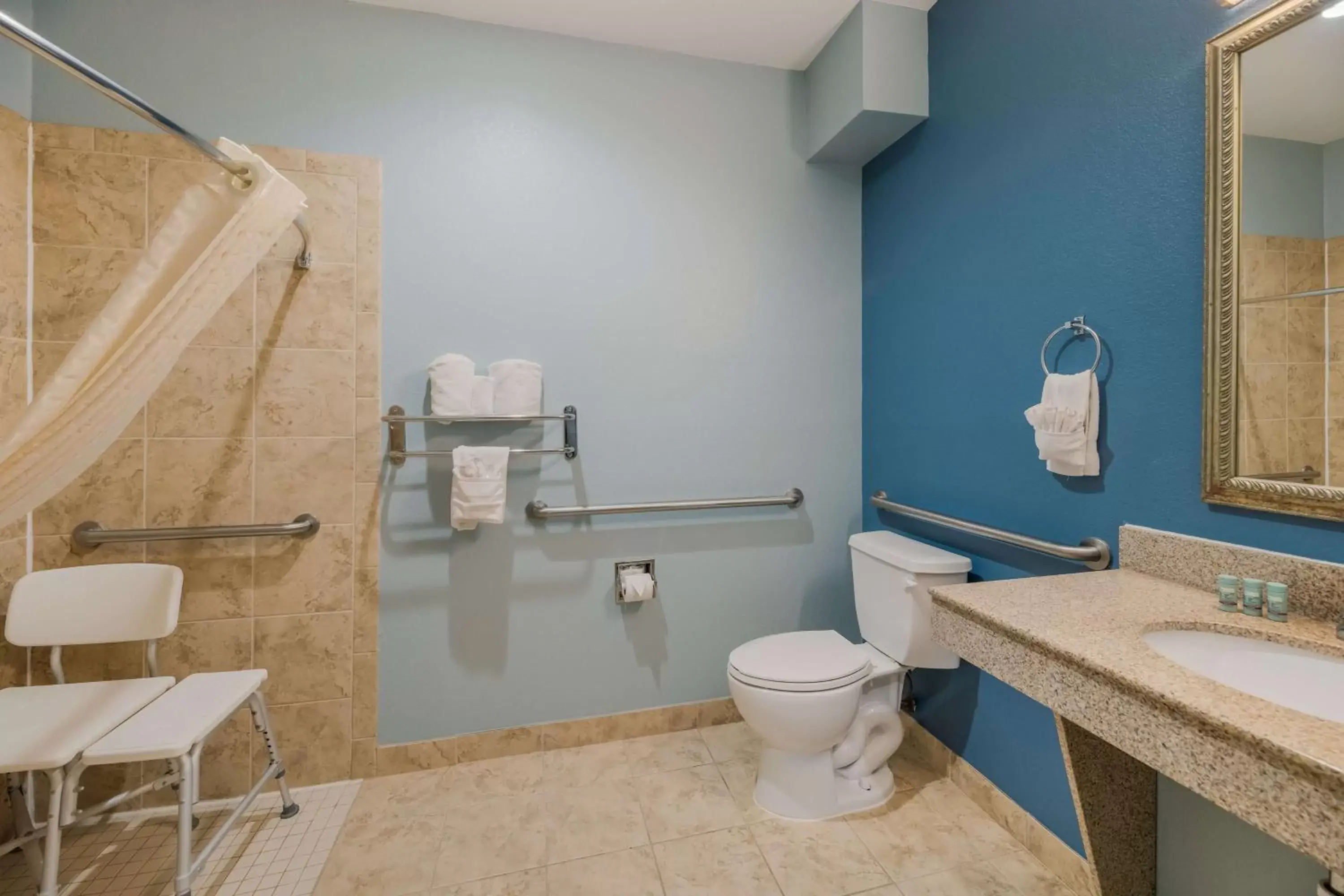 Bathroom in Best Western South Plains Inn & Suites