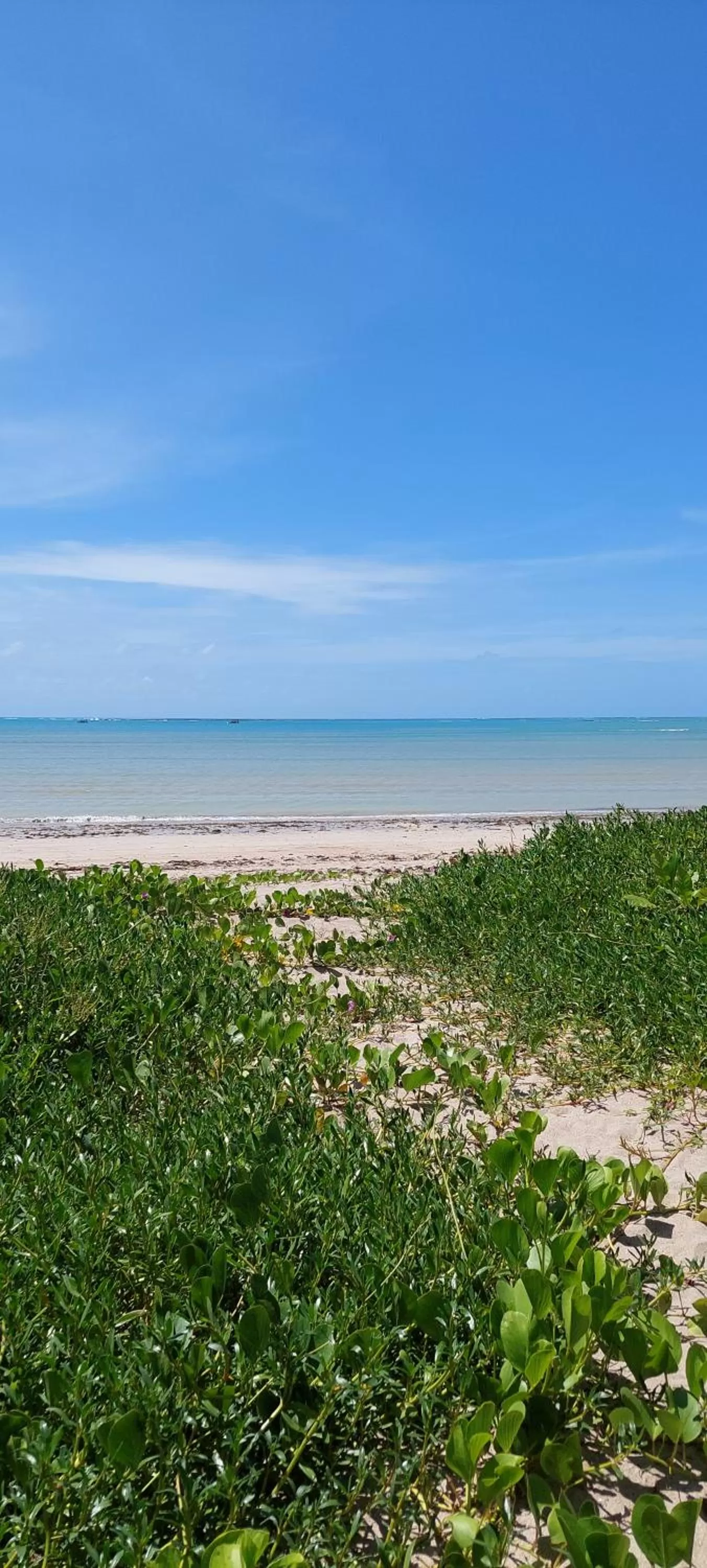 Natural landscape in Arataba Hotel Boutique e Bistrô - 150 mts do mar