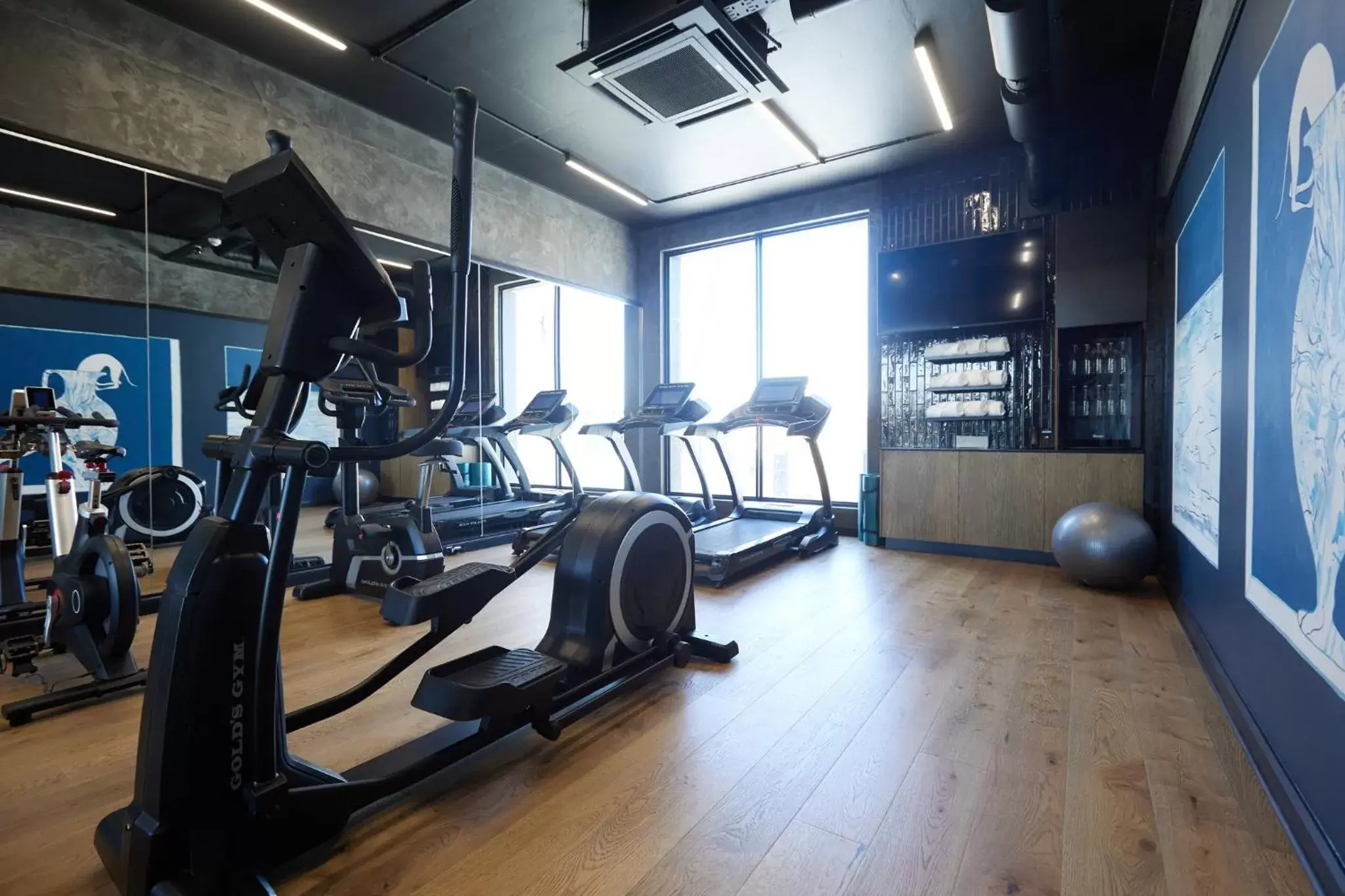 Fitness centre/facilities, Fitness Center/Facilities in voco Johannesburg Rosebank an IHG Hotel