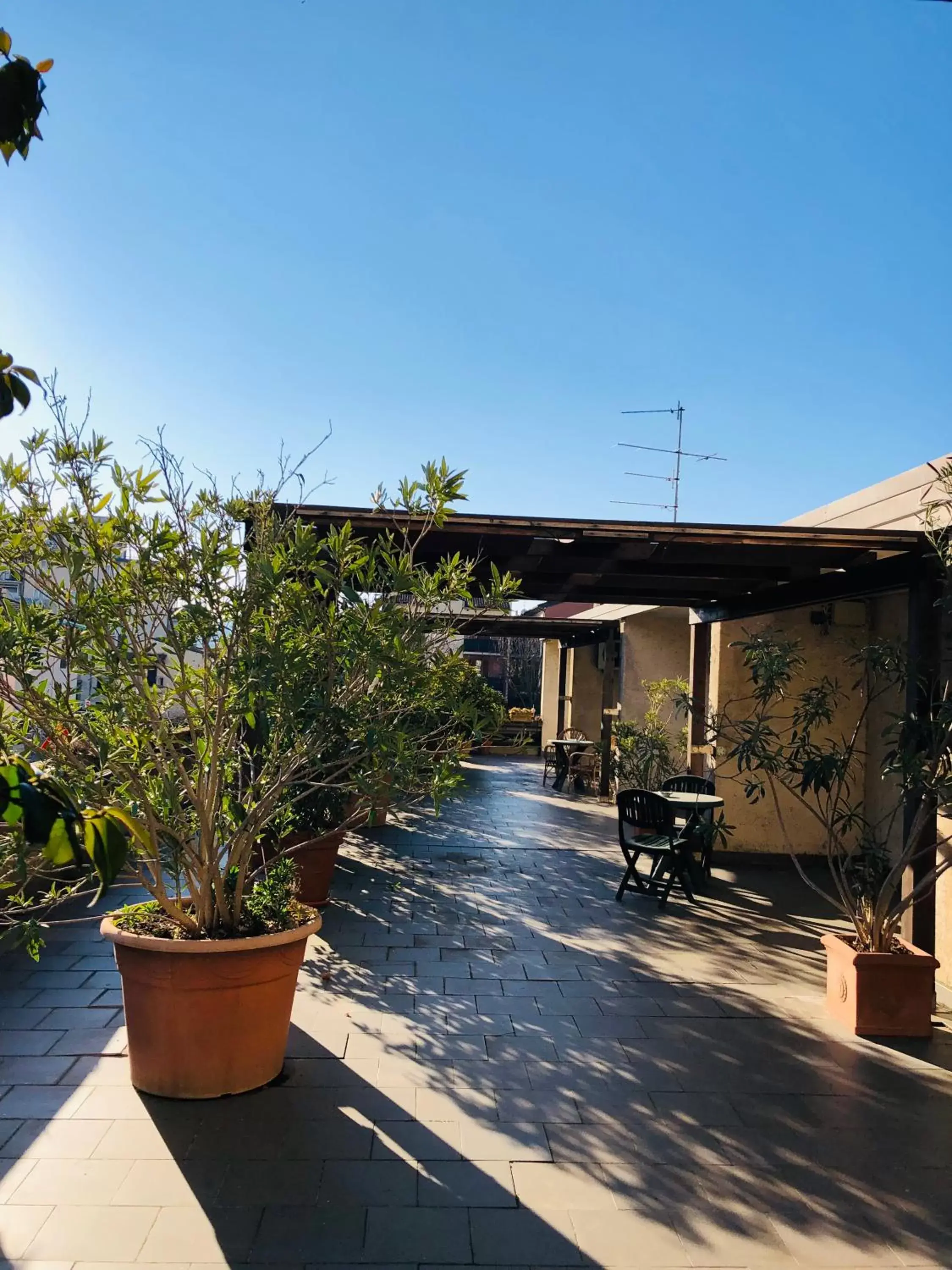 Balcony/Terrace in Hotel Delfina