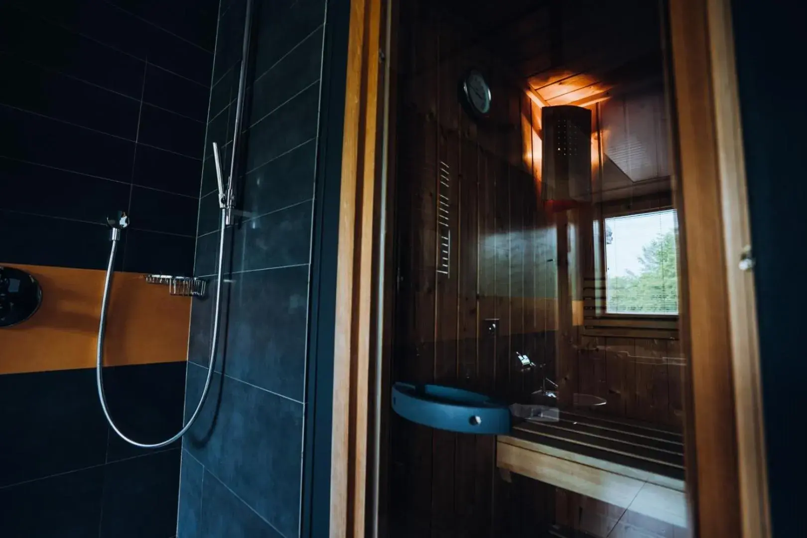 Sauna, Bathroom in Gabija hotel & SPA