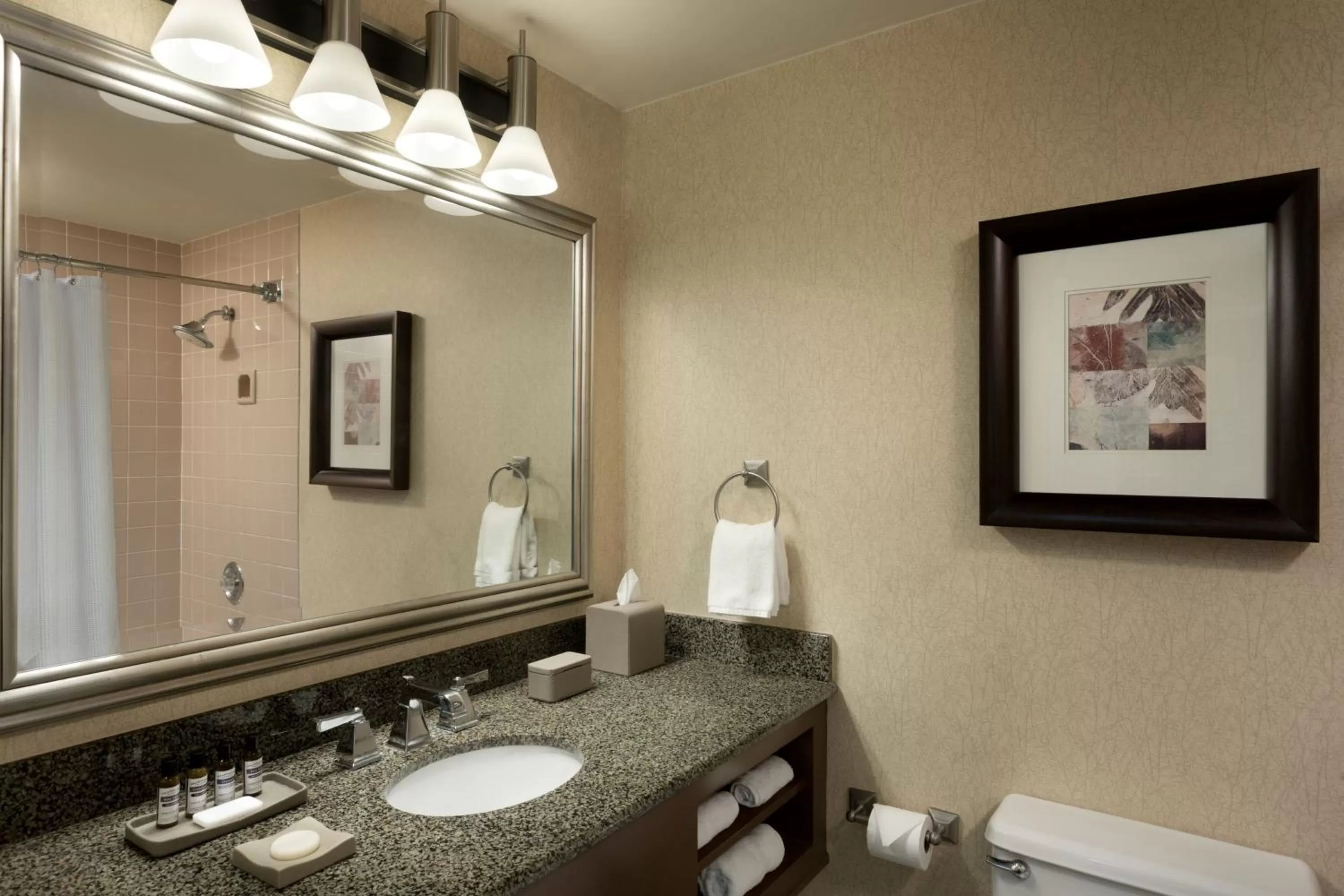 Bathroom in Hyatt Regency Houston West