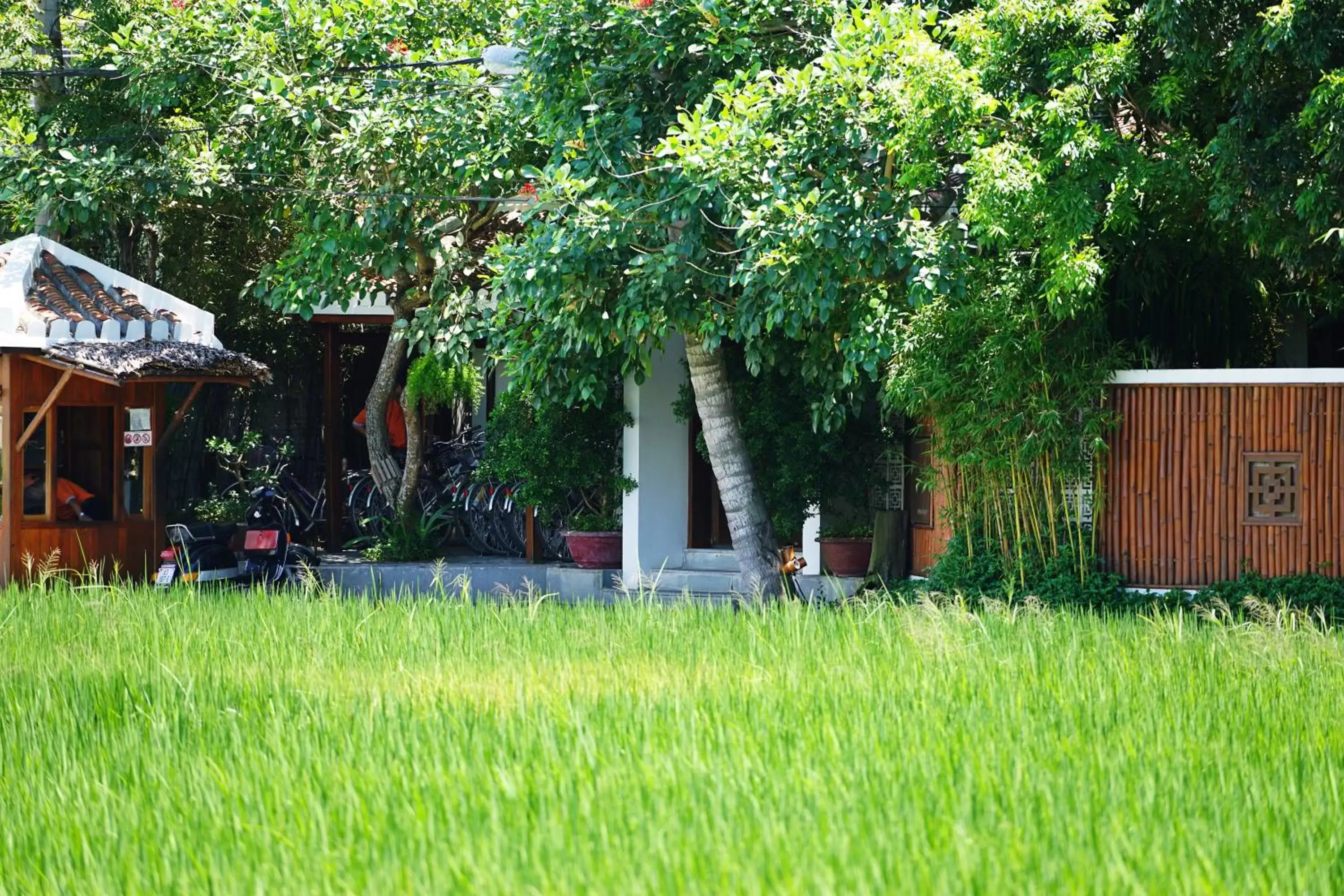 Day, Swimming Pool in Hoi An Chic - Green Retreat