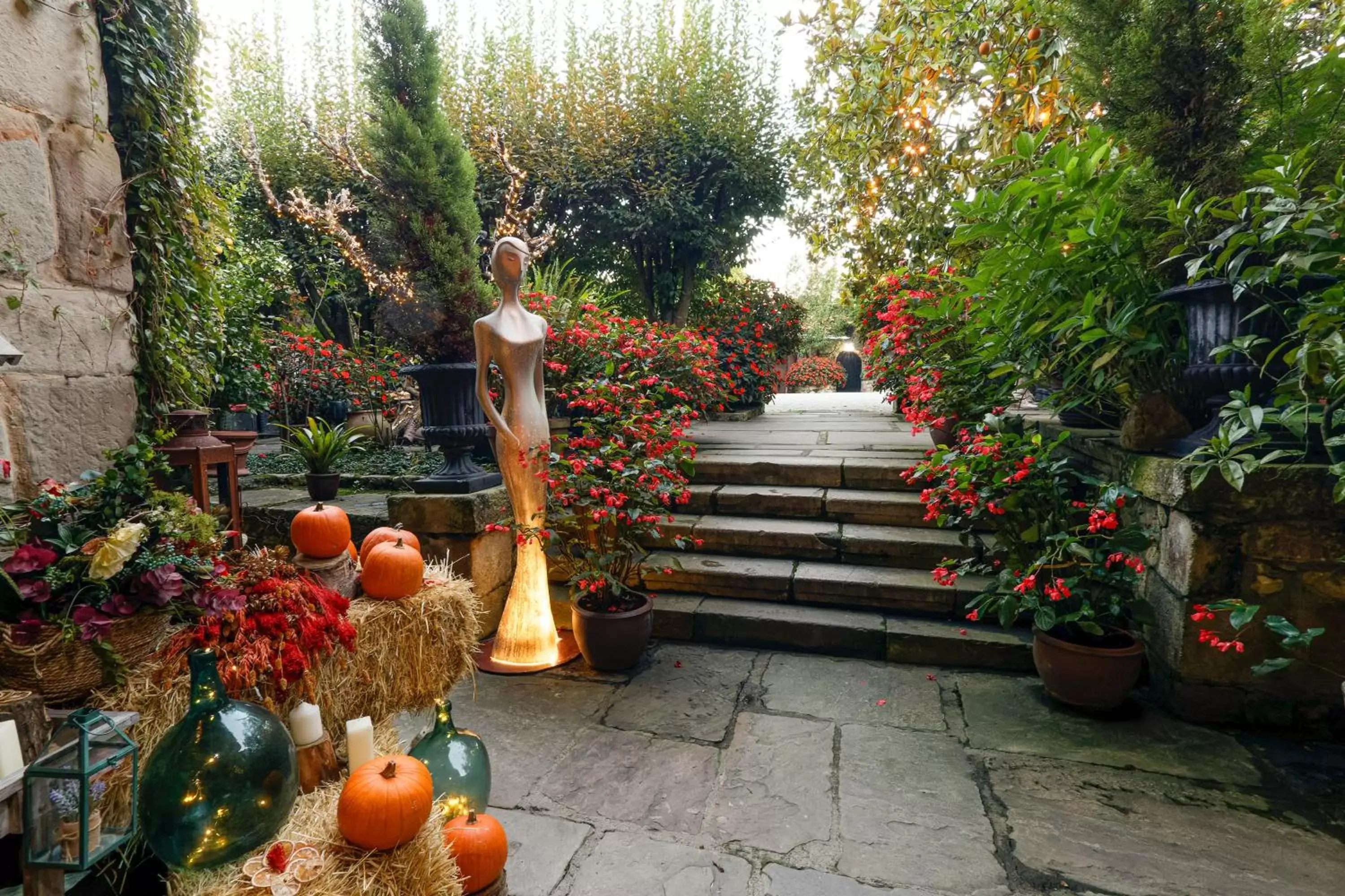 Garden in Hotel Casa del Marqués