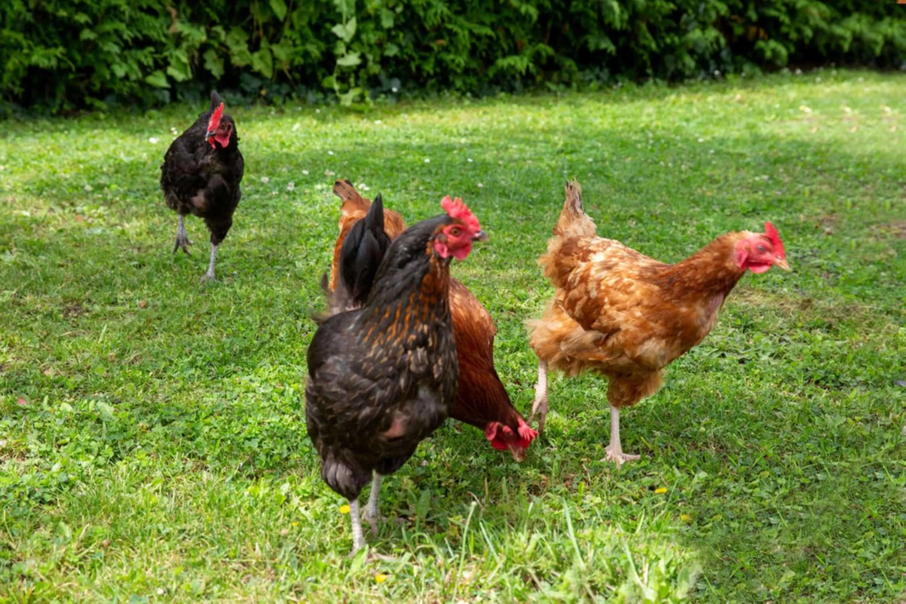 Property building in BEST WESTERN La Porte des Châteaux