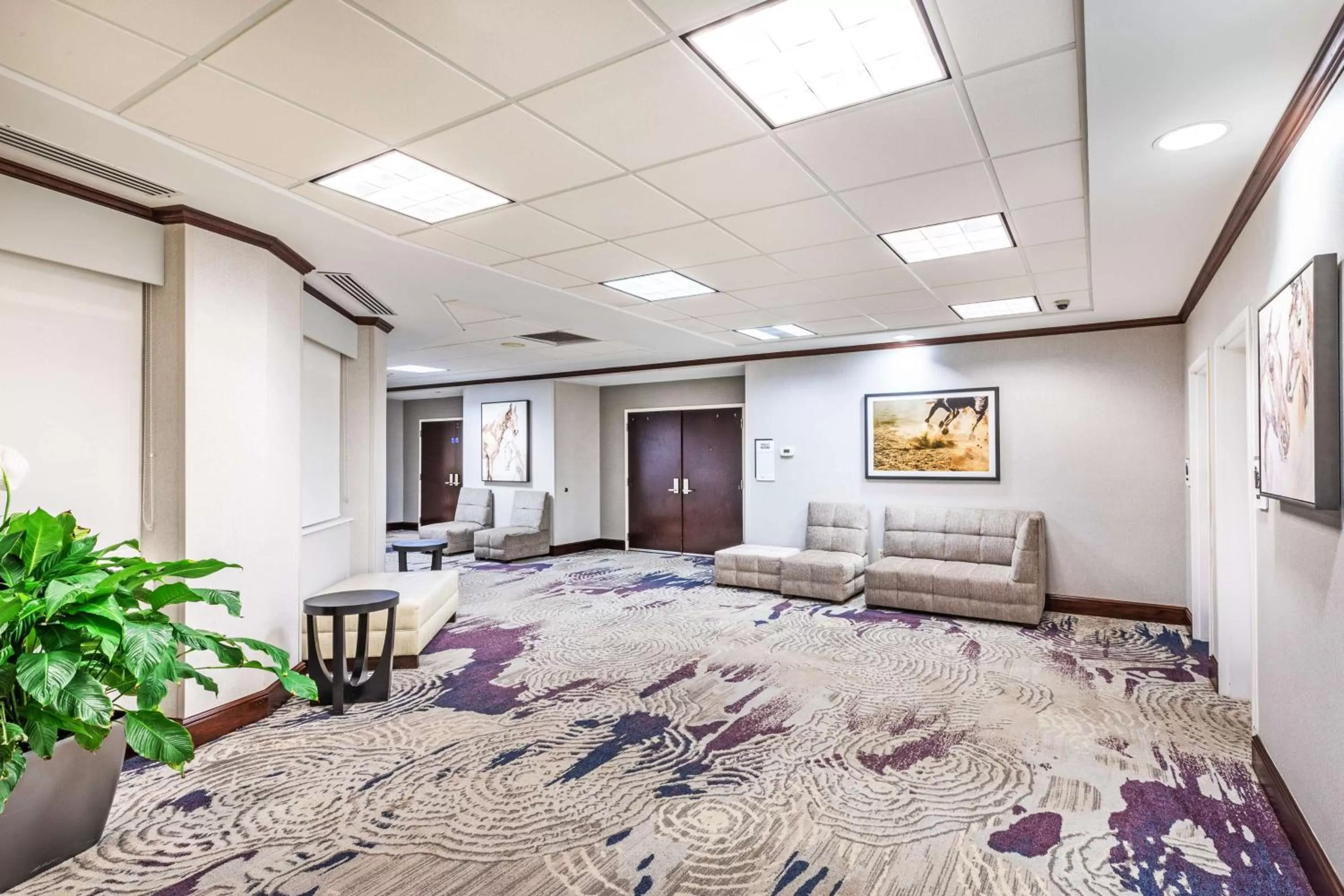 Meeting/conference room in Hilton Garden Inn Aiken